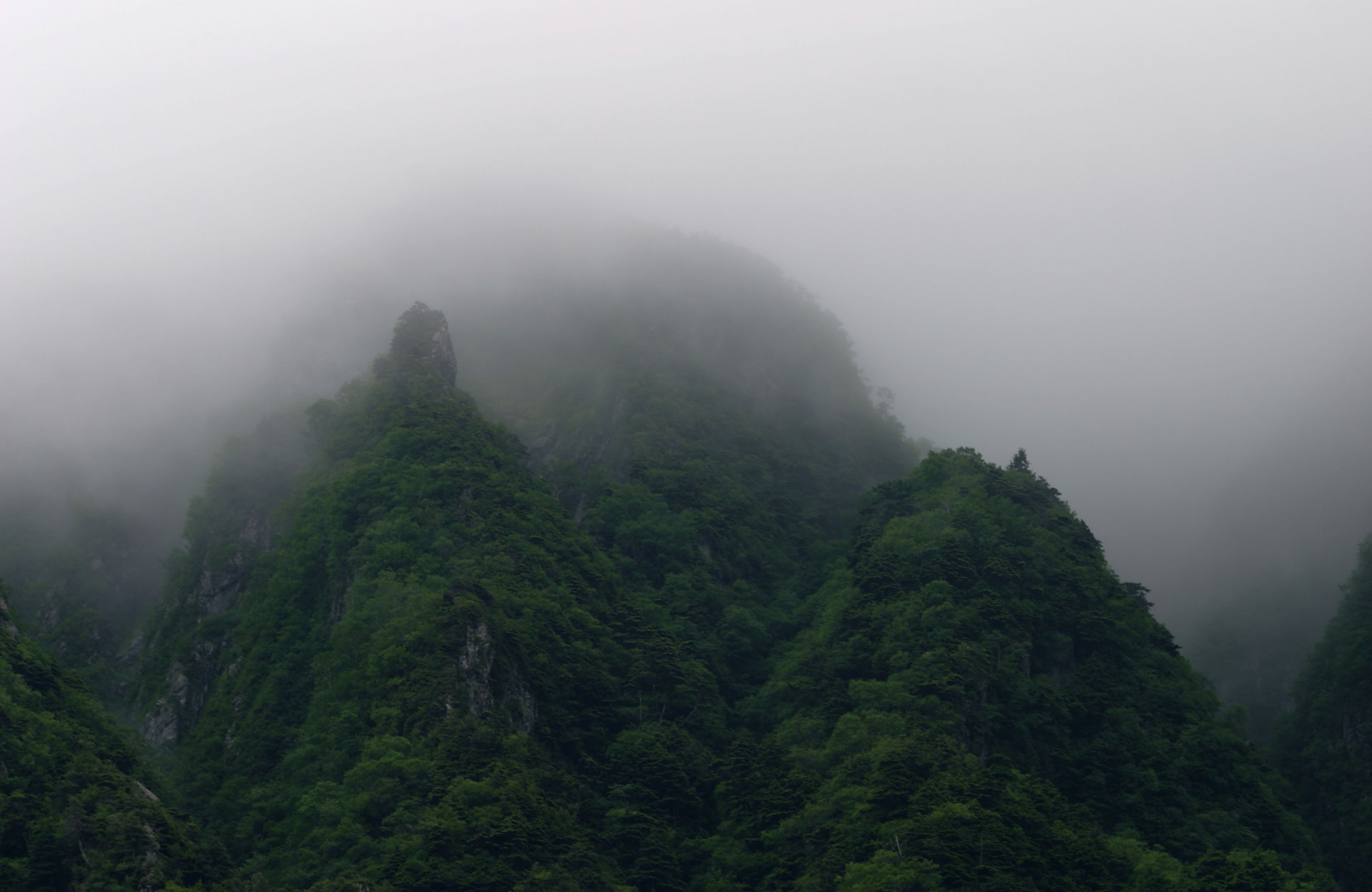 photo,material,free,landscape,picture,stock photo,Creative Commons,Mist in deep mountains, fog, mist, cloud, mountain