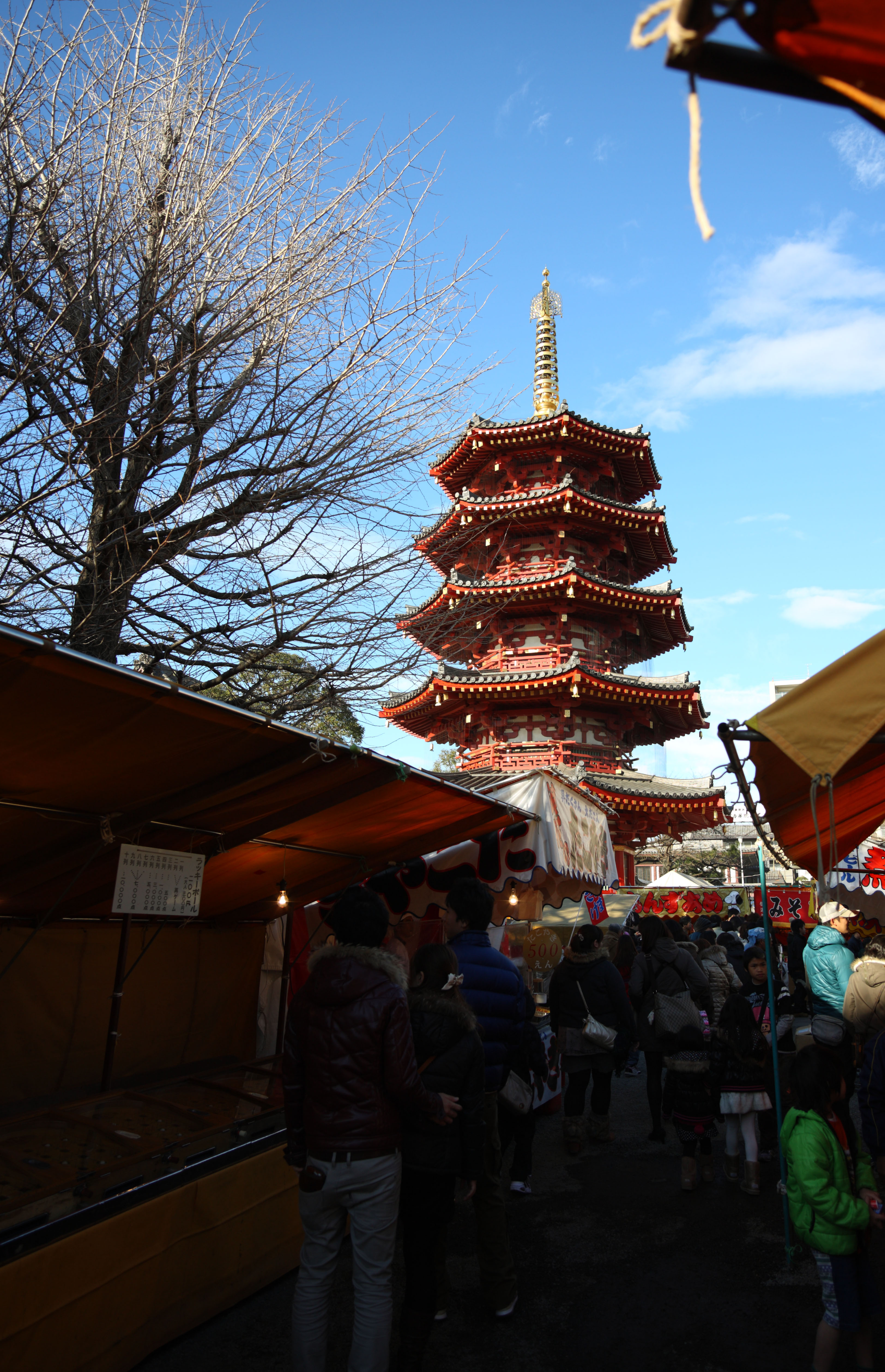 fotografia, materiale, libero il panorama, dipinga, fotografia di scorta,Kawasakidaishi, La visita di anno Nuovo ad un sacrario scintoista, adoratore, ramo, Cinque pagoda di Storeyed ottagonale