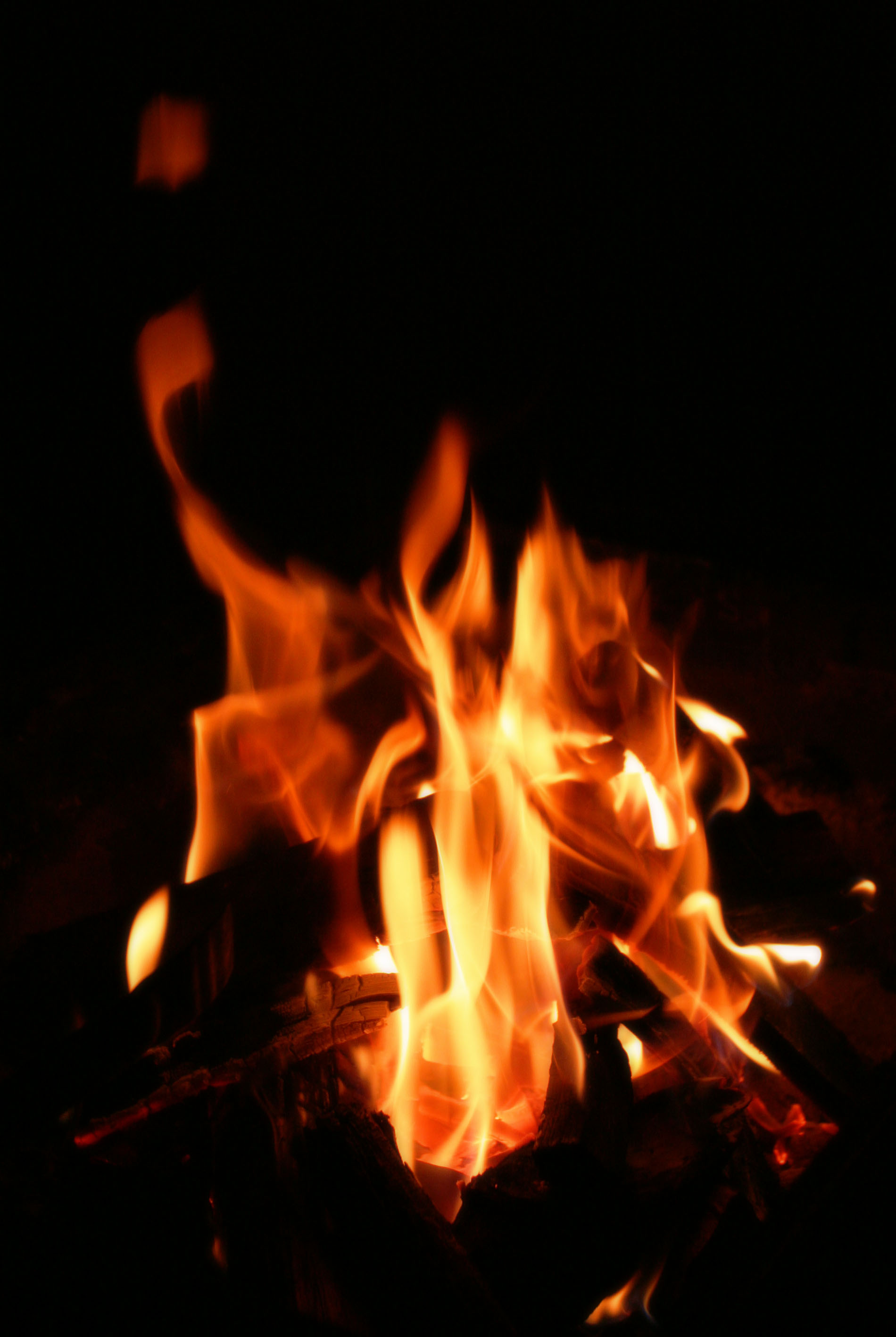 photo,material,free,landscape,picture,stock photo,Creative Commons,Flaring flames, bonfire, fire, firewood, burning