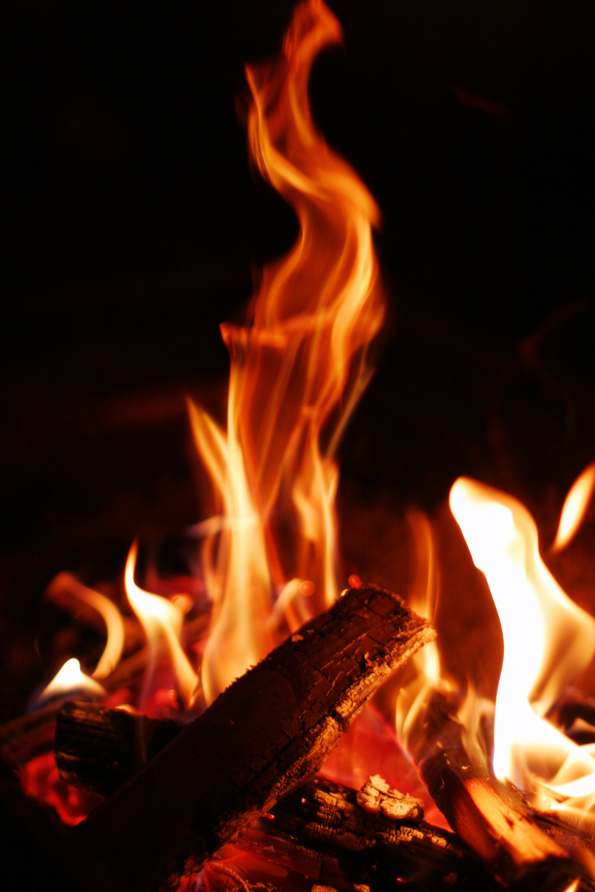 photo,material,free,landscape,picture,stock photo,Creative Commons,Roar of flames, bonfire, fire, firewood, burning