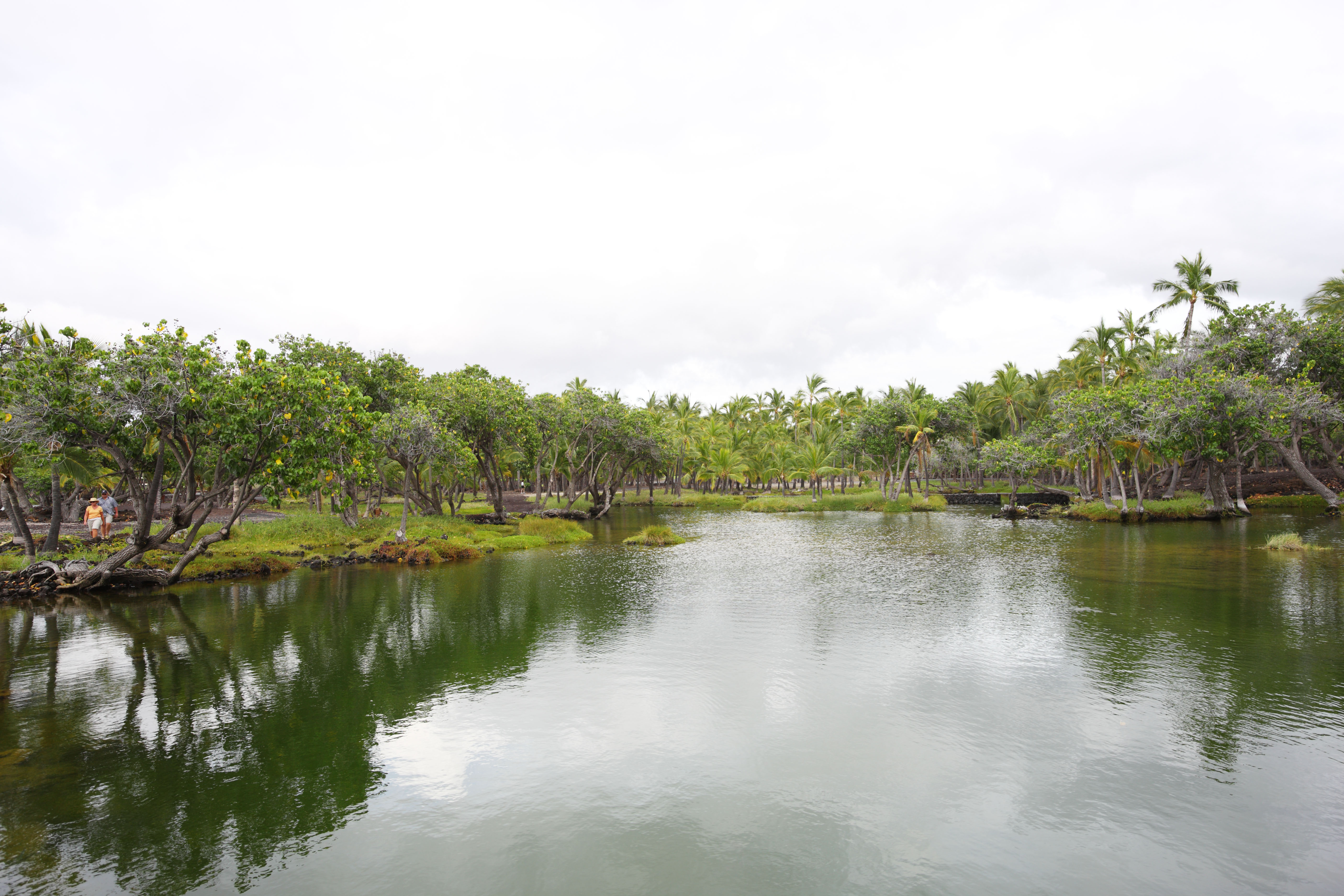 photo,material,free,landscape,picture,stock photo,Creative Commons,MaunaLani fish pound, Lava, An altar, pond, Fishery