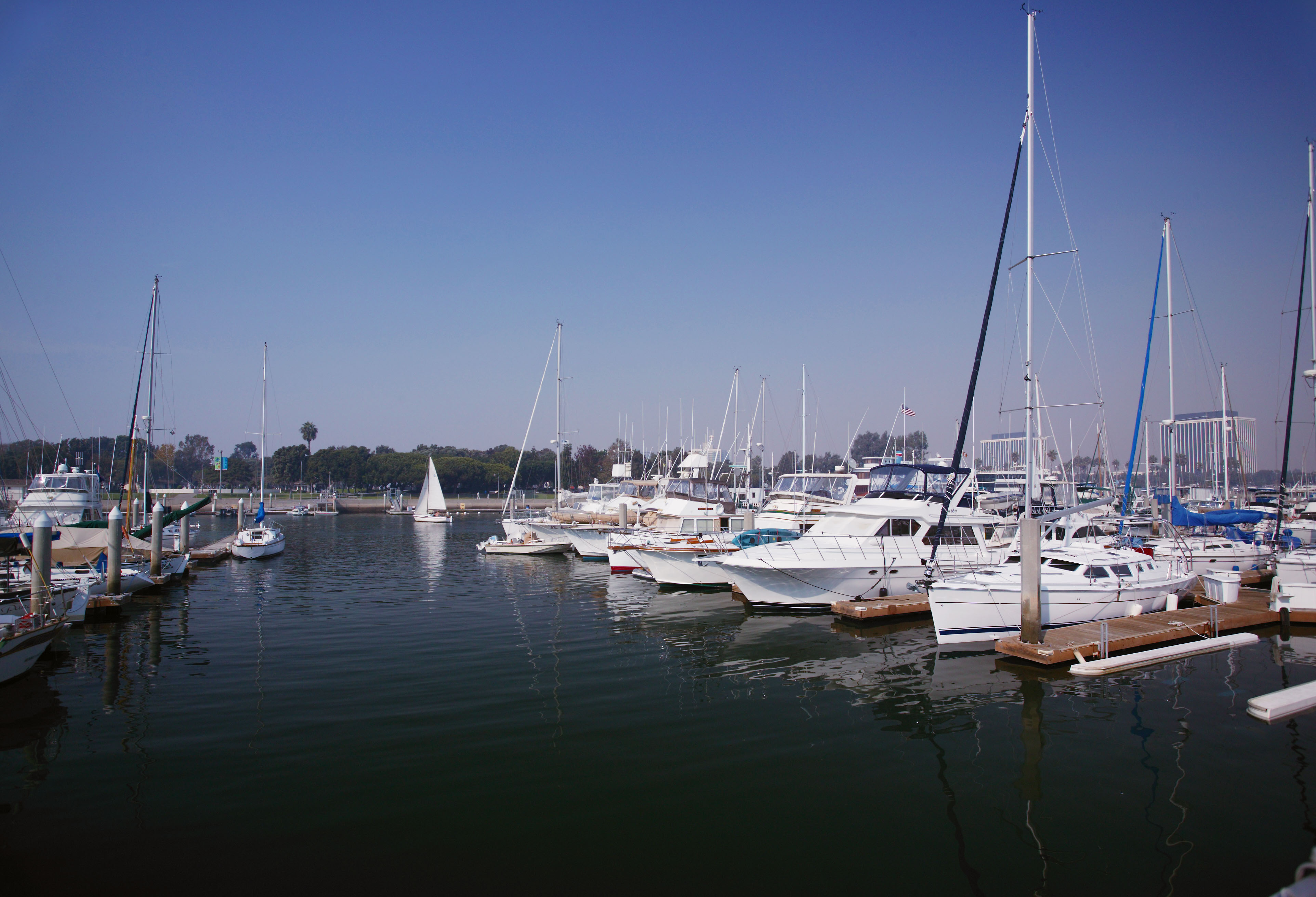 photo,material,free,landscape,picture,stock photo,Creative Commons,Afternoon yacht harbor, yacht, sea, port, mast