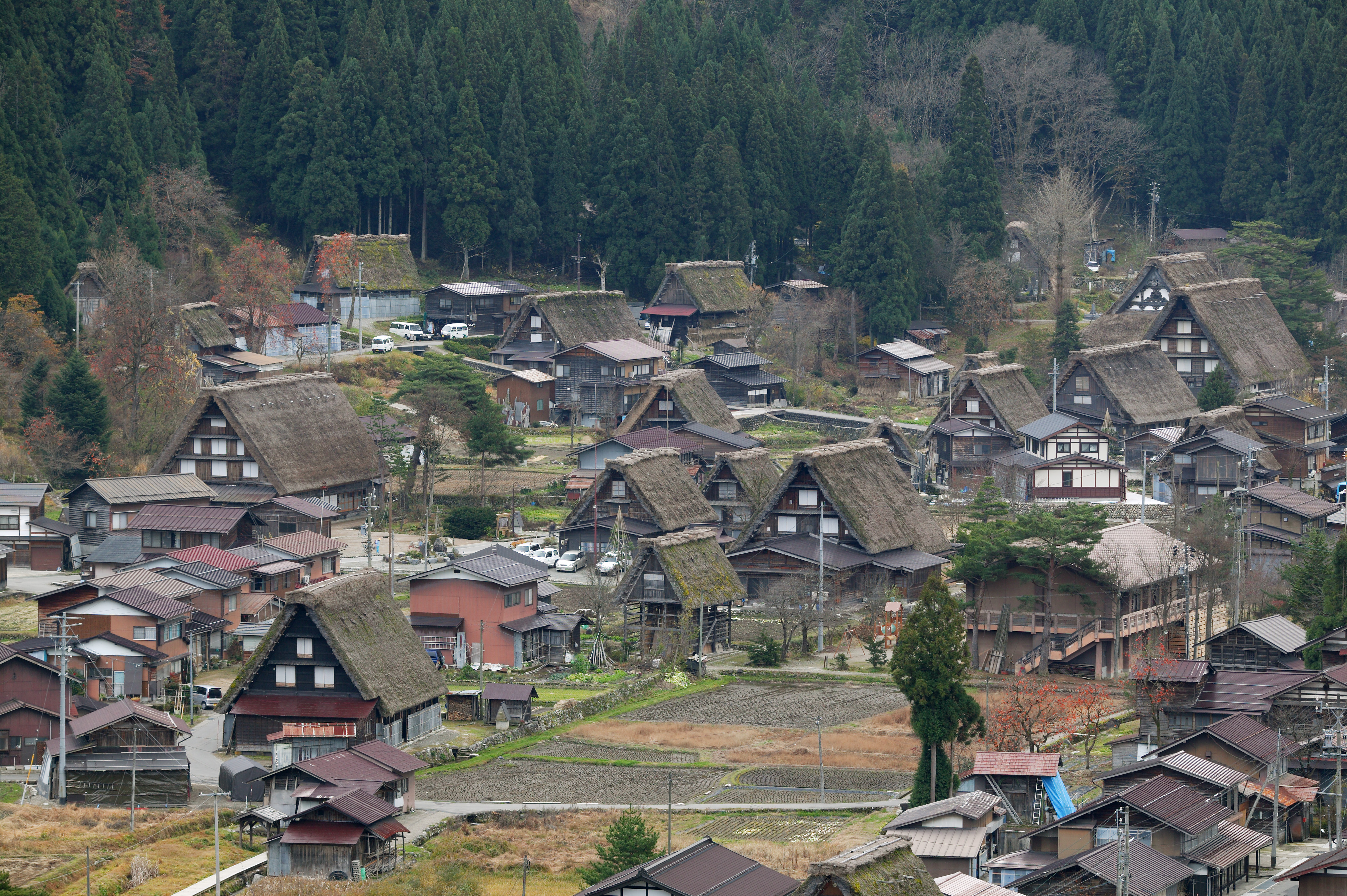 photo,material,free,landscape,picture,stock photo,Creative Commons,Shirakawago commanding, Architecture with principal ridgepole, Thatching, private house, rural scenery