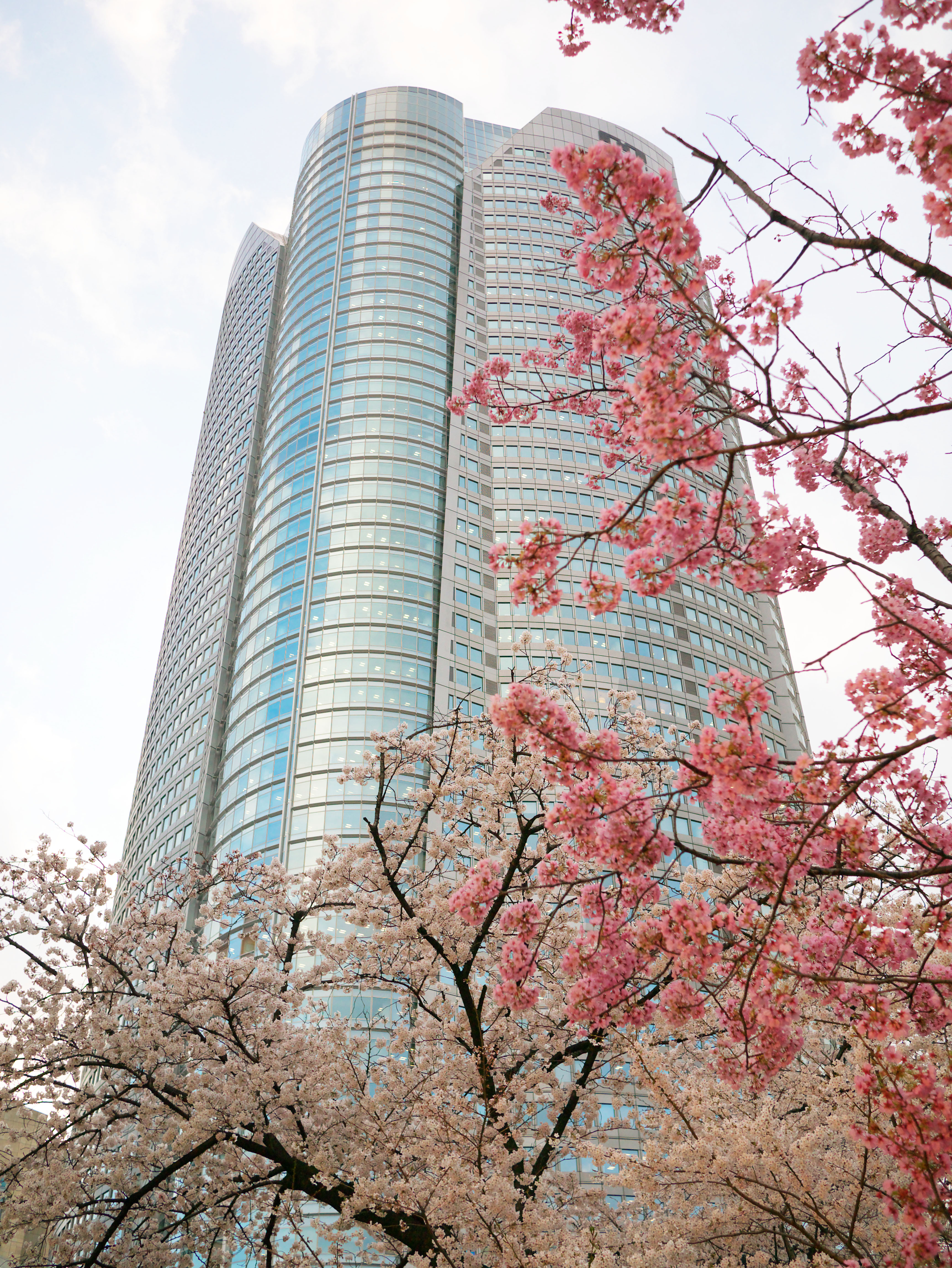 photo,material,free,landscape,picture,stock photo,Creative Commons,Roppongi Hills, , , , 