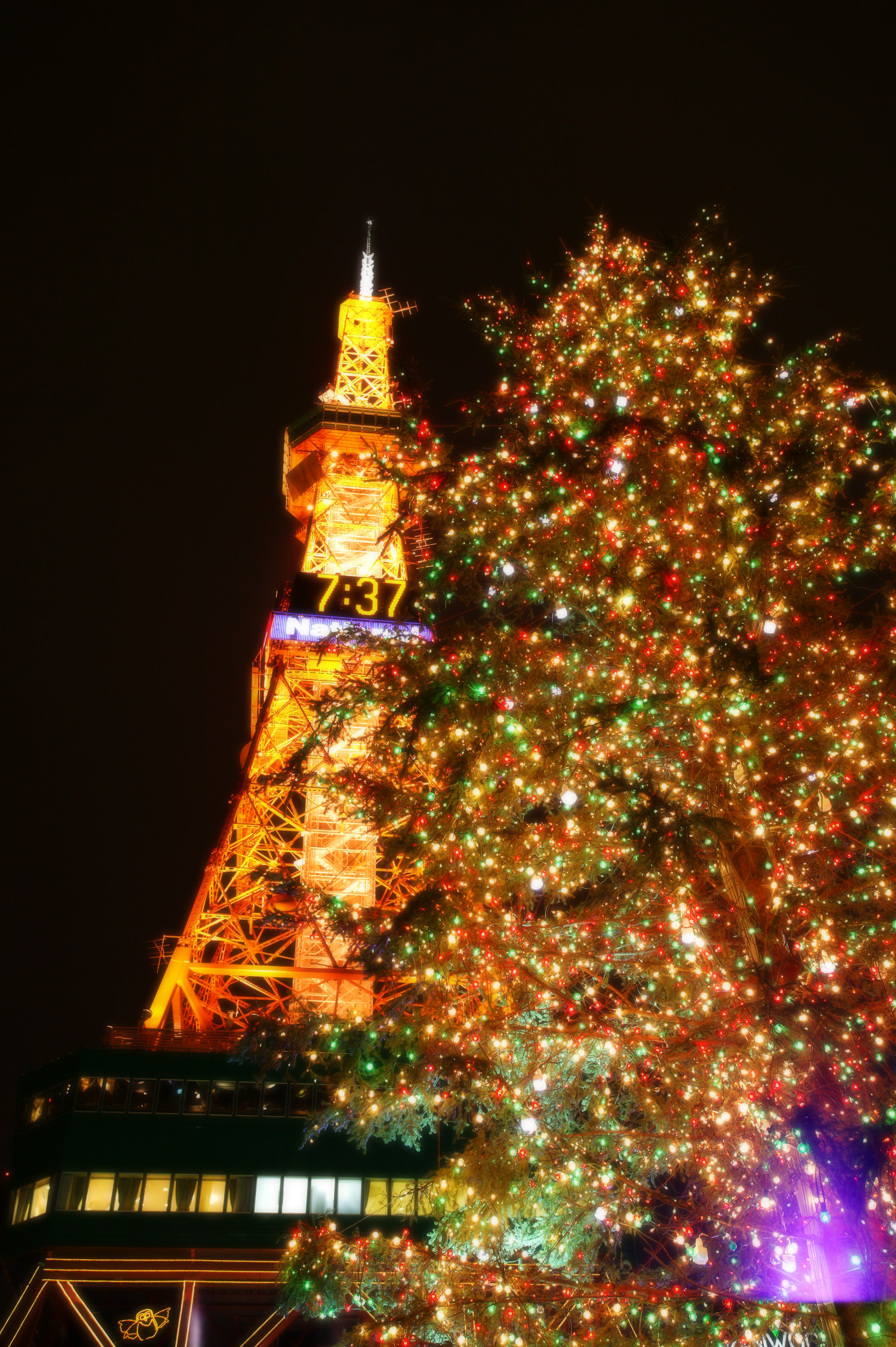 ゆんフリー写真素材集 No 1925 クリスマスツリーとタワー 日本 北海道
