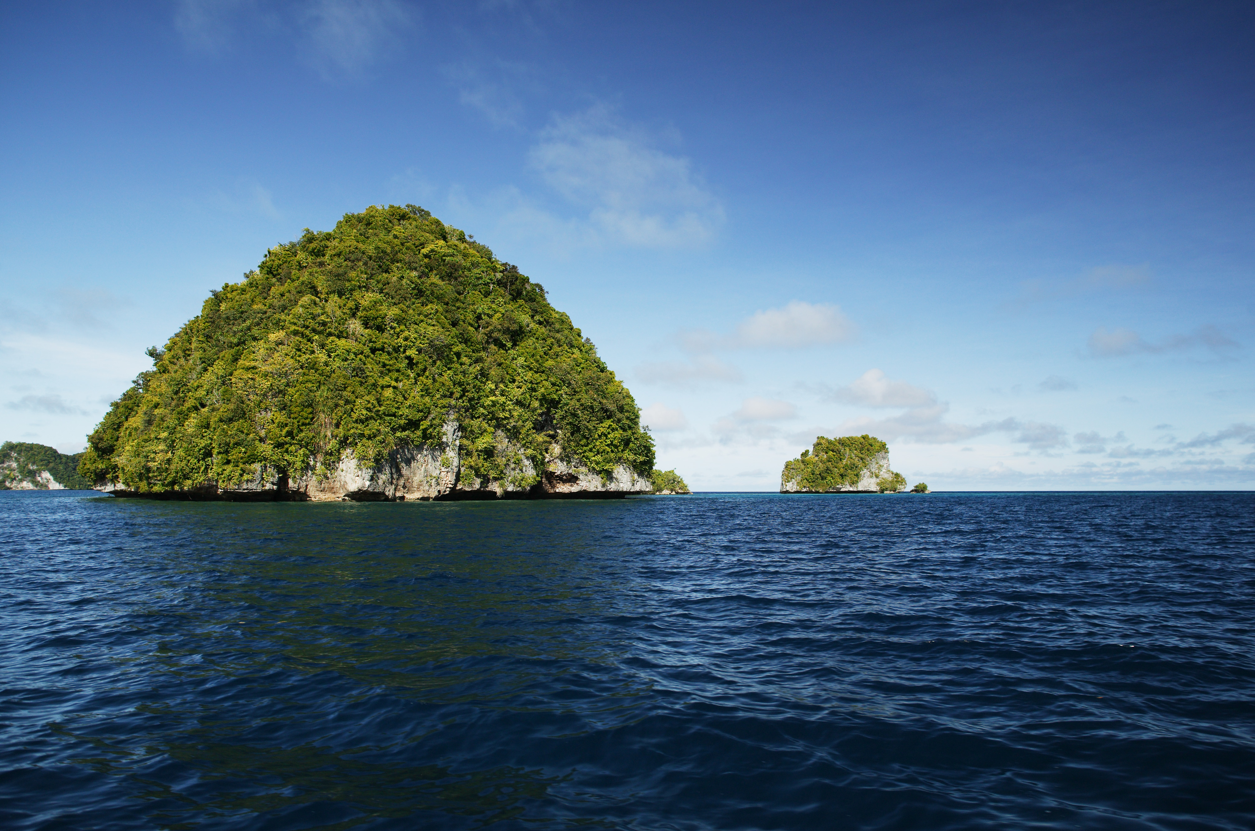 fotografia, material, livra, ajardine, imagine, proveja fotografia,Uma ilha solitria de um pas sulista, ilha, Coral, , floresta