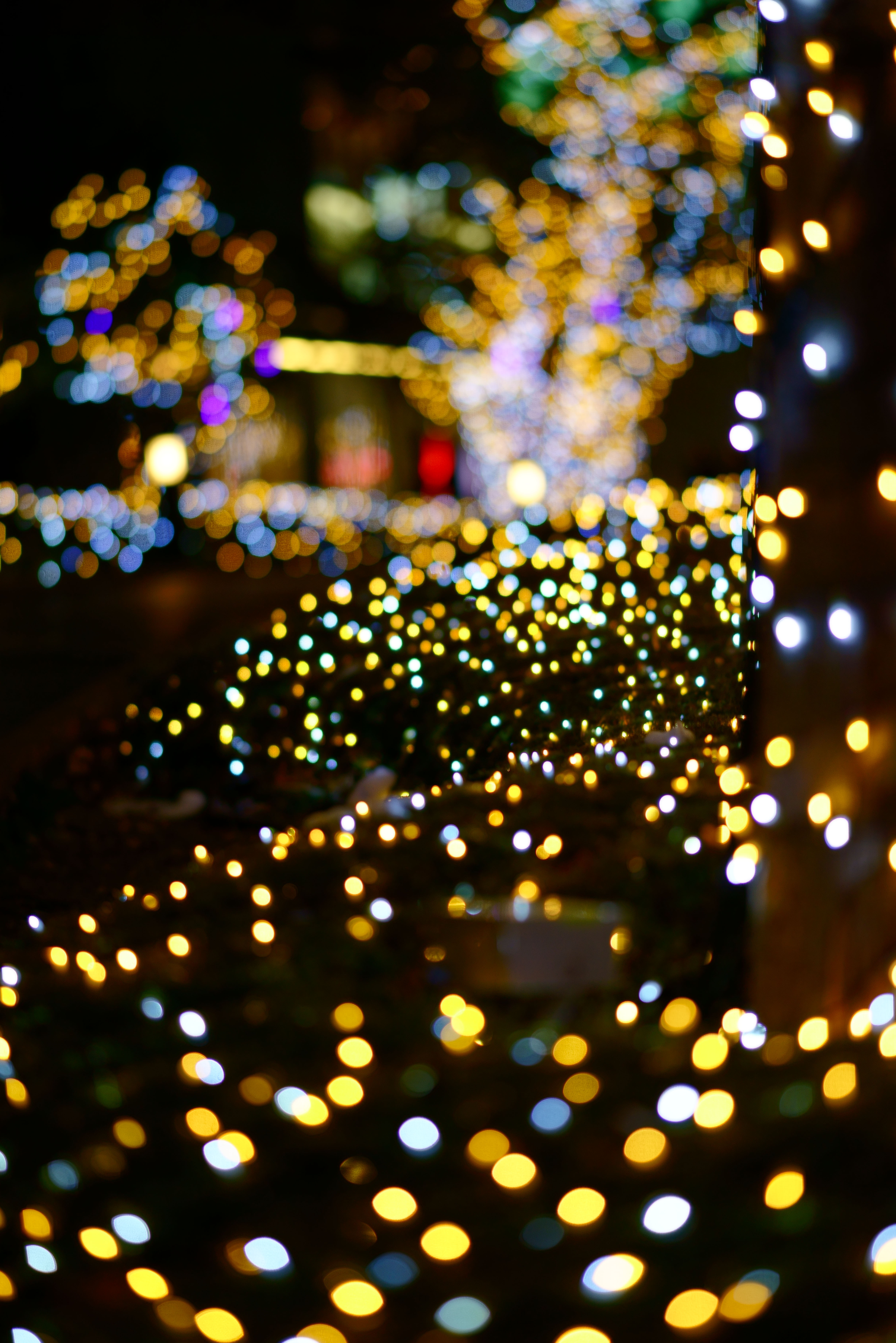 foto,tela,gratis,paisaje,fotografa,idea,Iluminacin de Shinjuku, , , , 