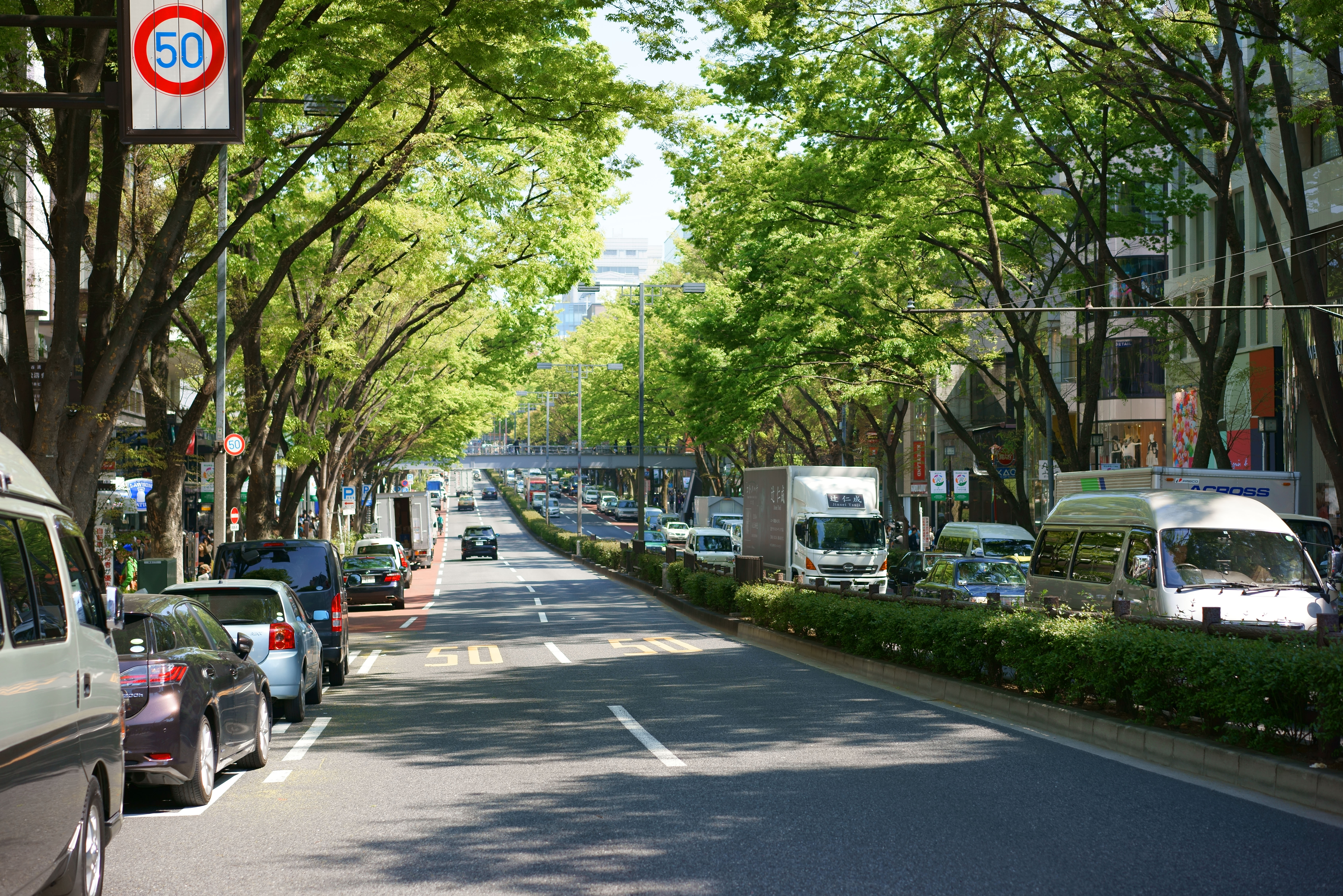 ゆんフリー写真素材集 No 原宿 表参道 日本 東京