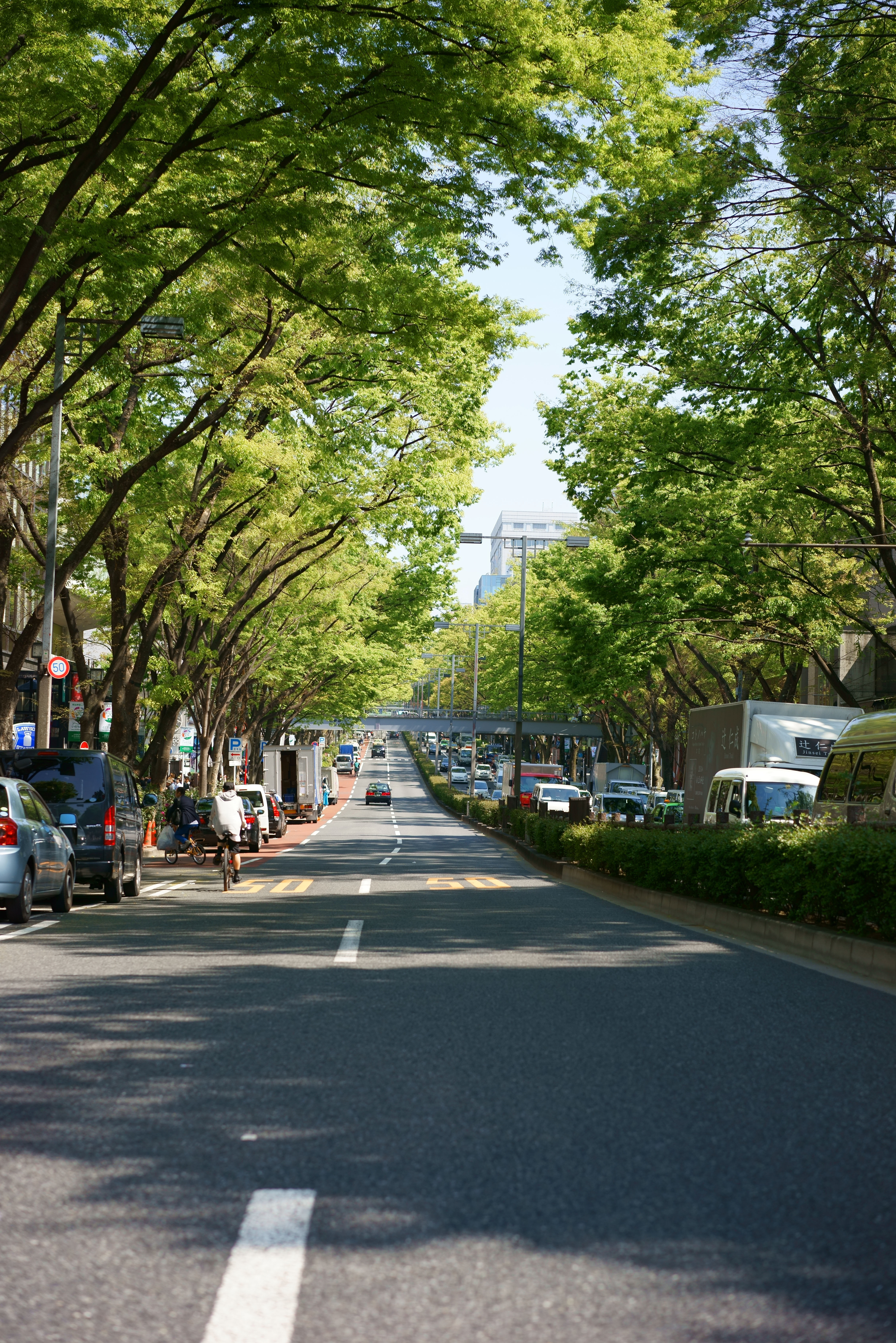 ゆんフリー写真素材集 No 原宿 表参道 日本 東京