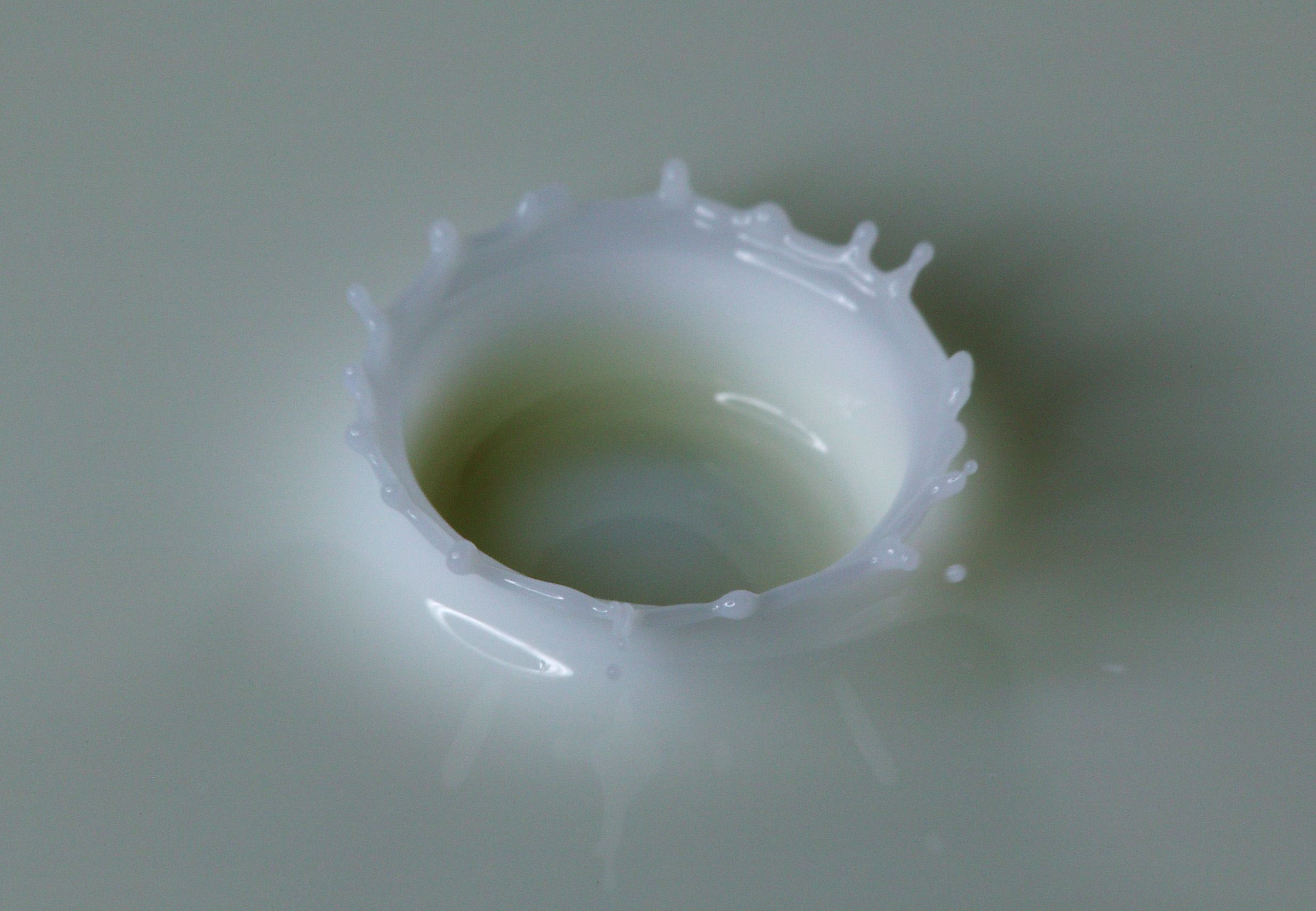 photo,material,free,landscape,picture,stock photo,Creative Commons,A milk crown, milk crown, drop, Spray of water, Milk