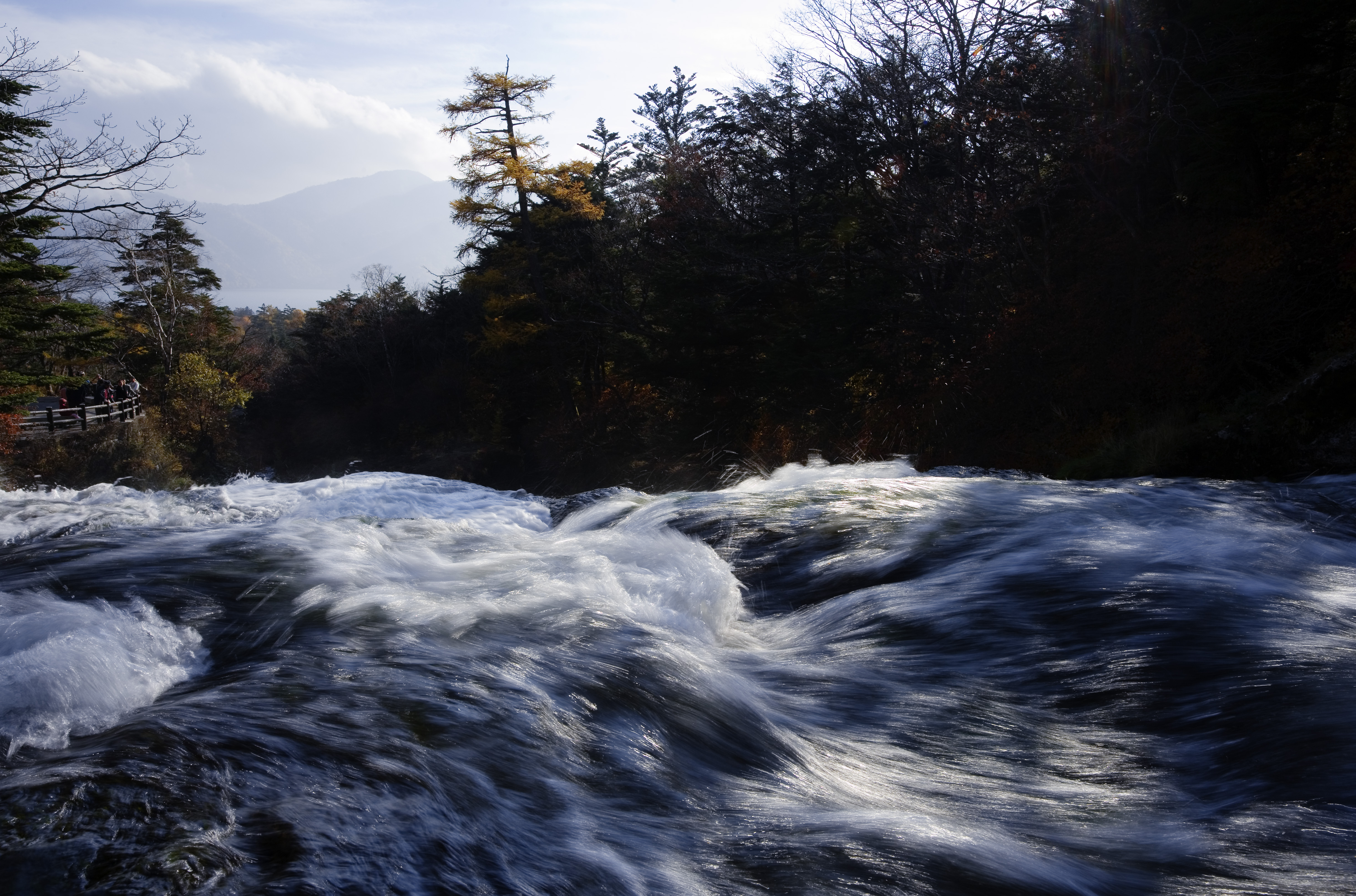 photo,material,free,landscape,picture,stock photo,Creative Commons,An autumn fast flowing stream, waterfall, flow, Water, river