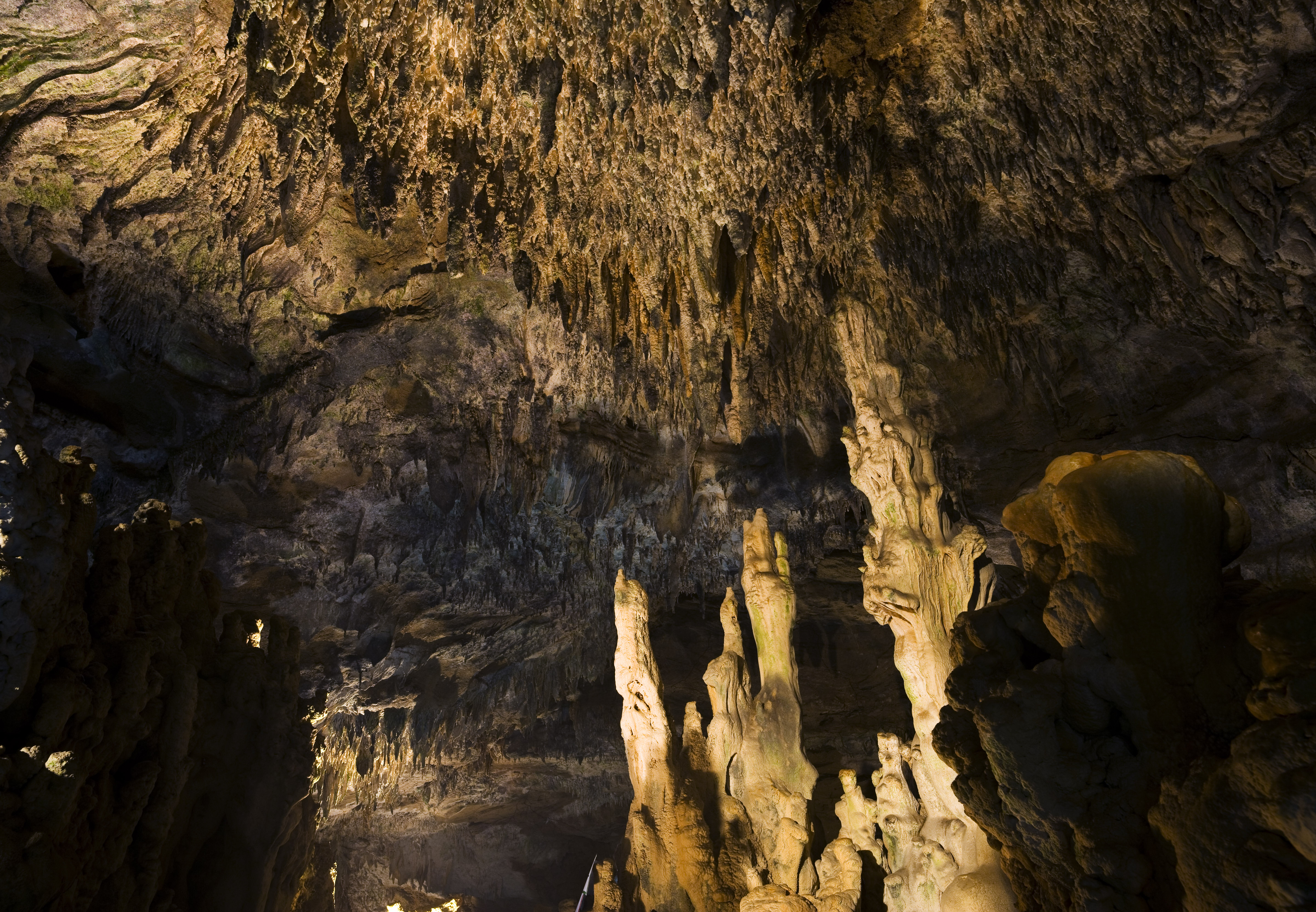 photo,material,free,landscape,picture,stock photo,Creative Commons,Ishigaki-jima Island stalactite cave, stalactite cave, Stalactite, Limestone, cave