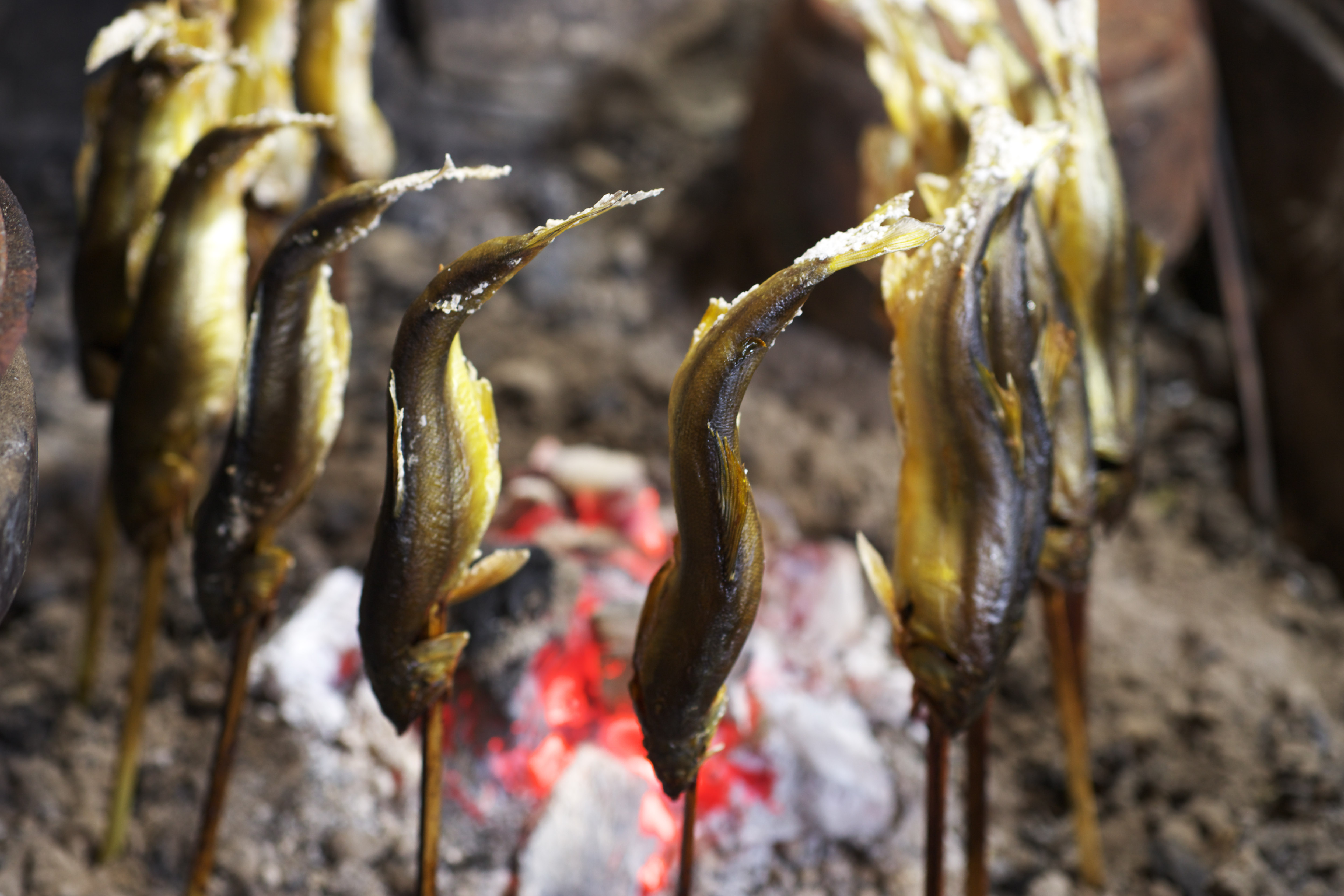 photo,material,free,landscape,picture,stock photo,Creative Commons,Charcoal lighting a fire of a sweetfish, sweetfish, , , sweet fish