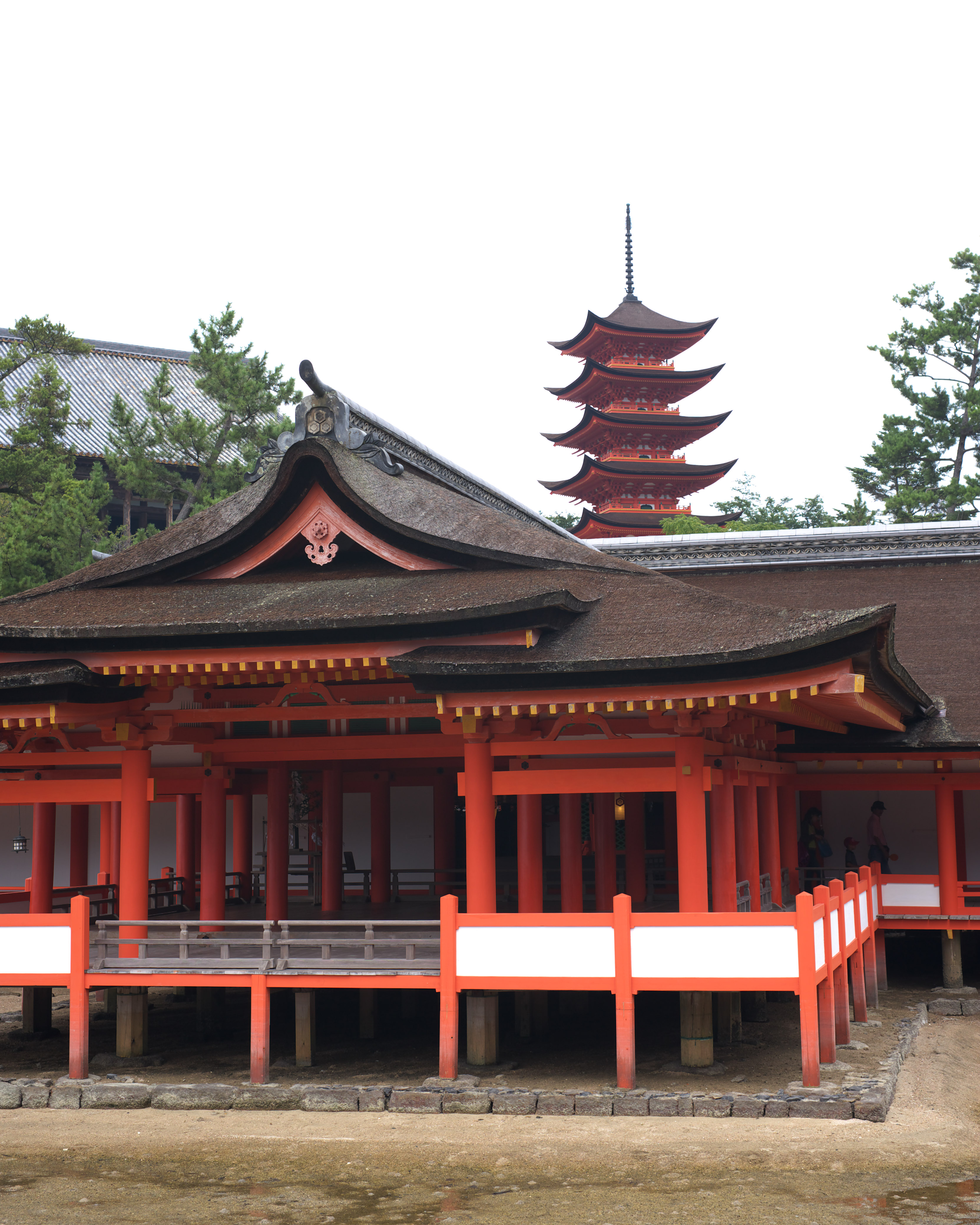 Foto, materieel, vrij, landschap, schilderstuk, bevoorraden foto,Een belangrijkste heiligdom van Itsukushima-jinja Heiligdom, Wereldwijd cultureel heritage, Belangrijkste heiligdom, Shinto heiligdom, Ik ben cinnabar rood