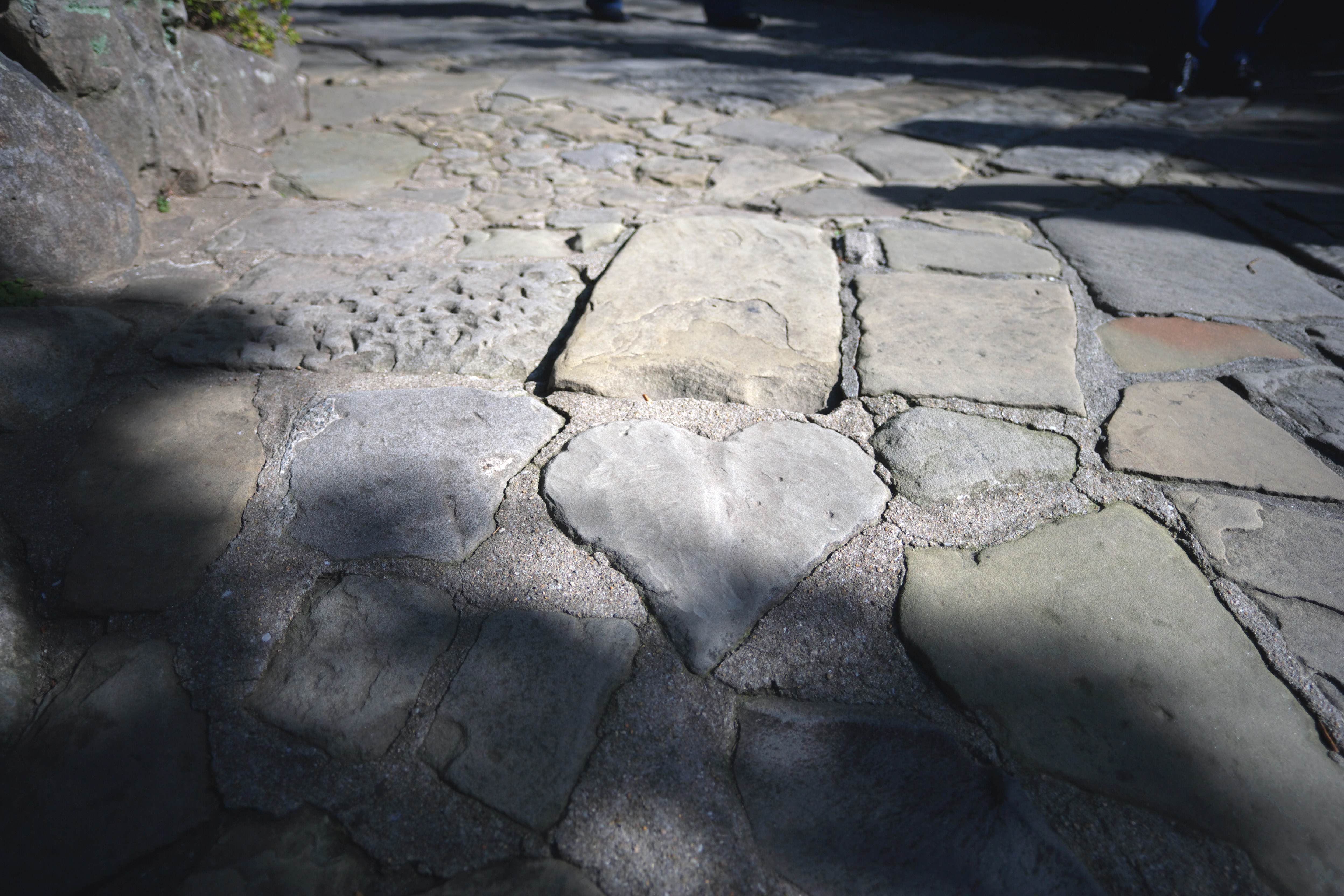 photo,material,free,landscape,picture,stock photo,Creative Commons,A stone pavement of heart, stone pavement, stone, heart mark, Happiness