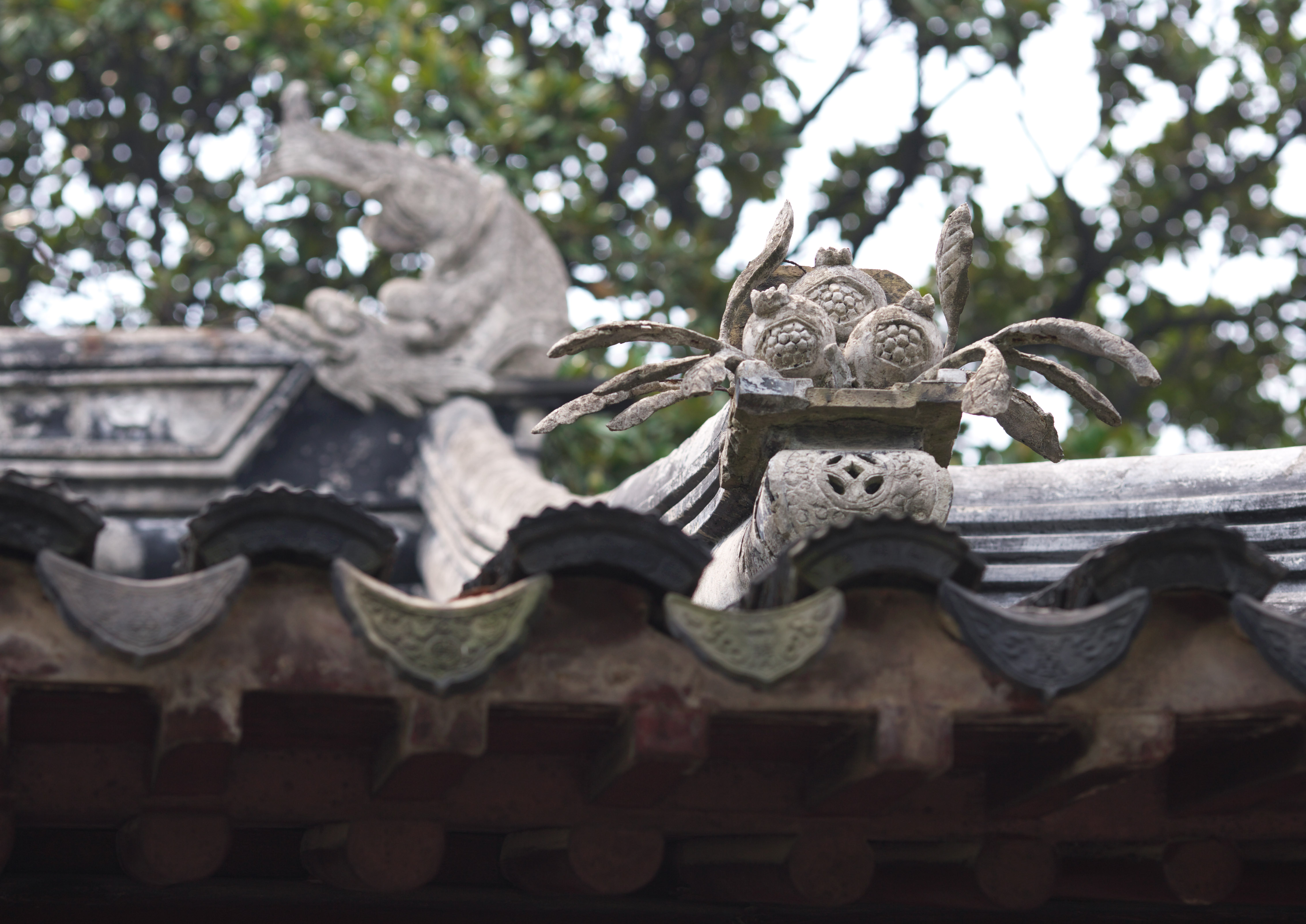 fotografia, materiale, libero il panorama, dipinga, fotografia di scorta,Una decorazione di tetto di Enkodo di Zhuozhengyuan, tegola, tetto, eredit di mondo, giardino