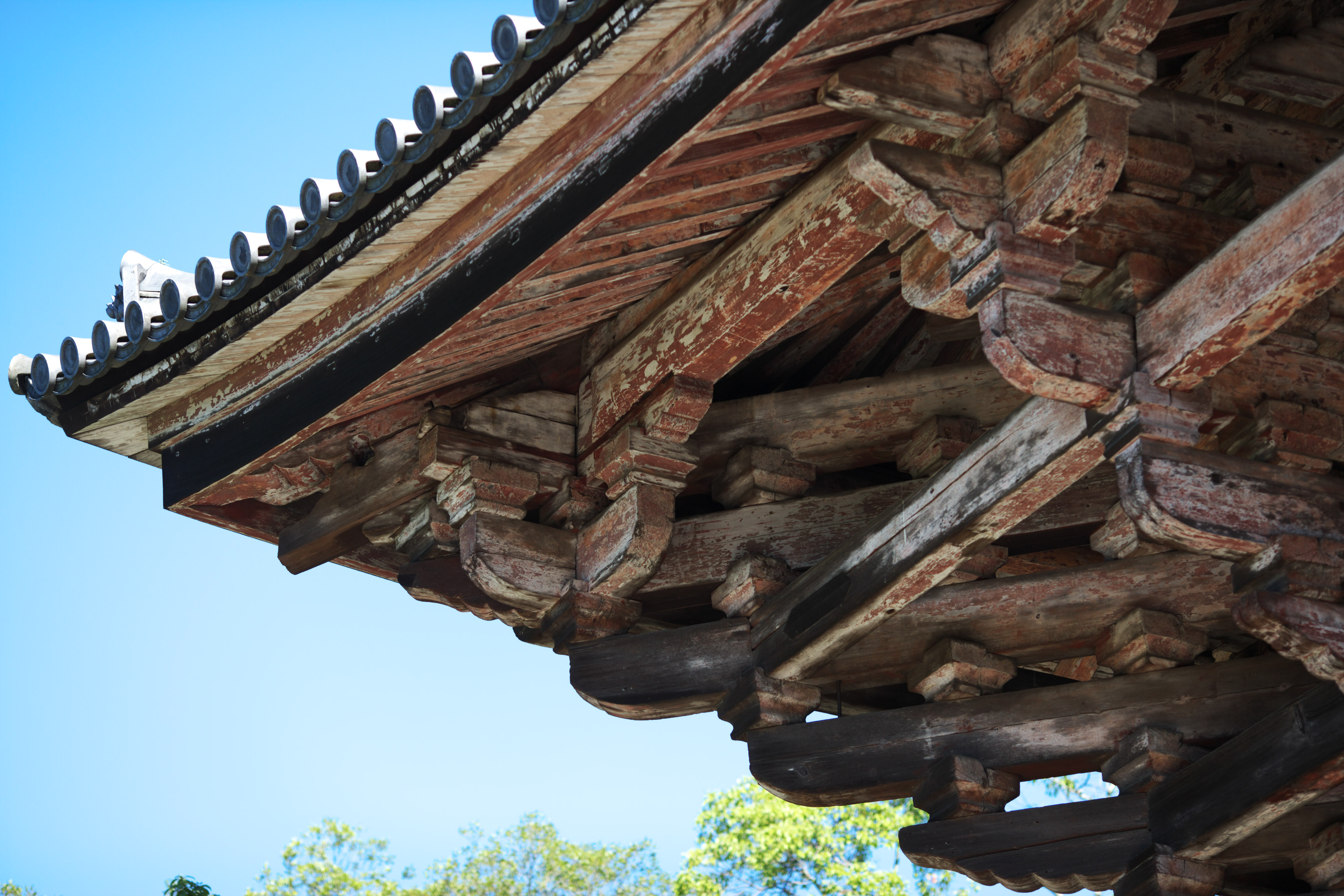 photo,material,free,landscape,picture,stock photo,Creative Commons,I cross the tree of Nandaimon Higashiooji, The gate, wooden building, Buddhism, temple