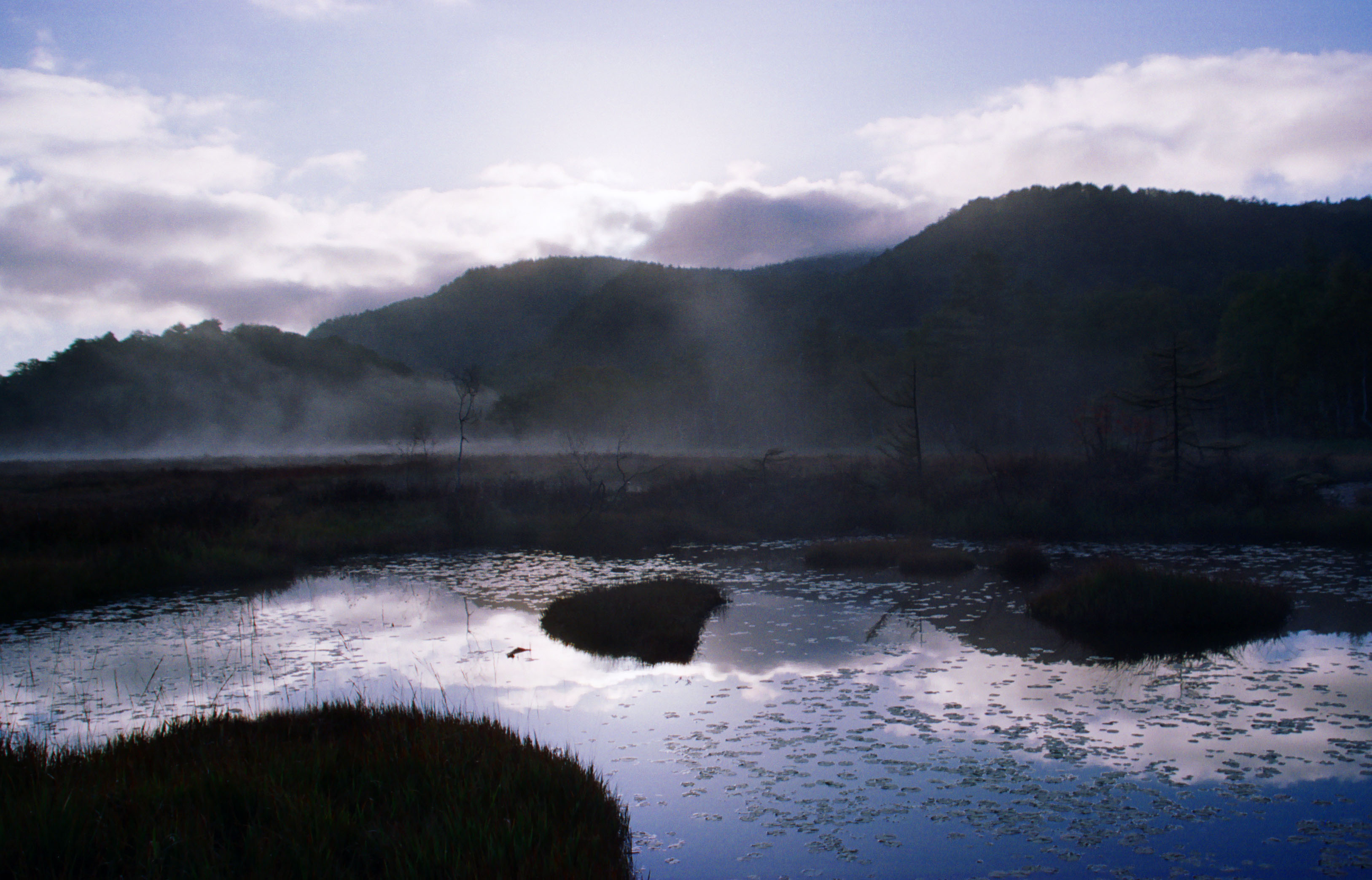 photo,material,free,landscape,picture,stock photo,Creative Commons,Wake-up time indigo, pond, tree, mountain, fog