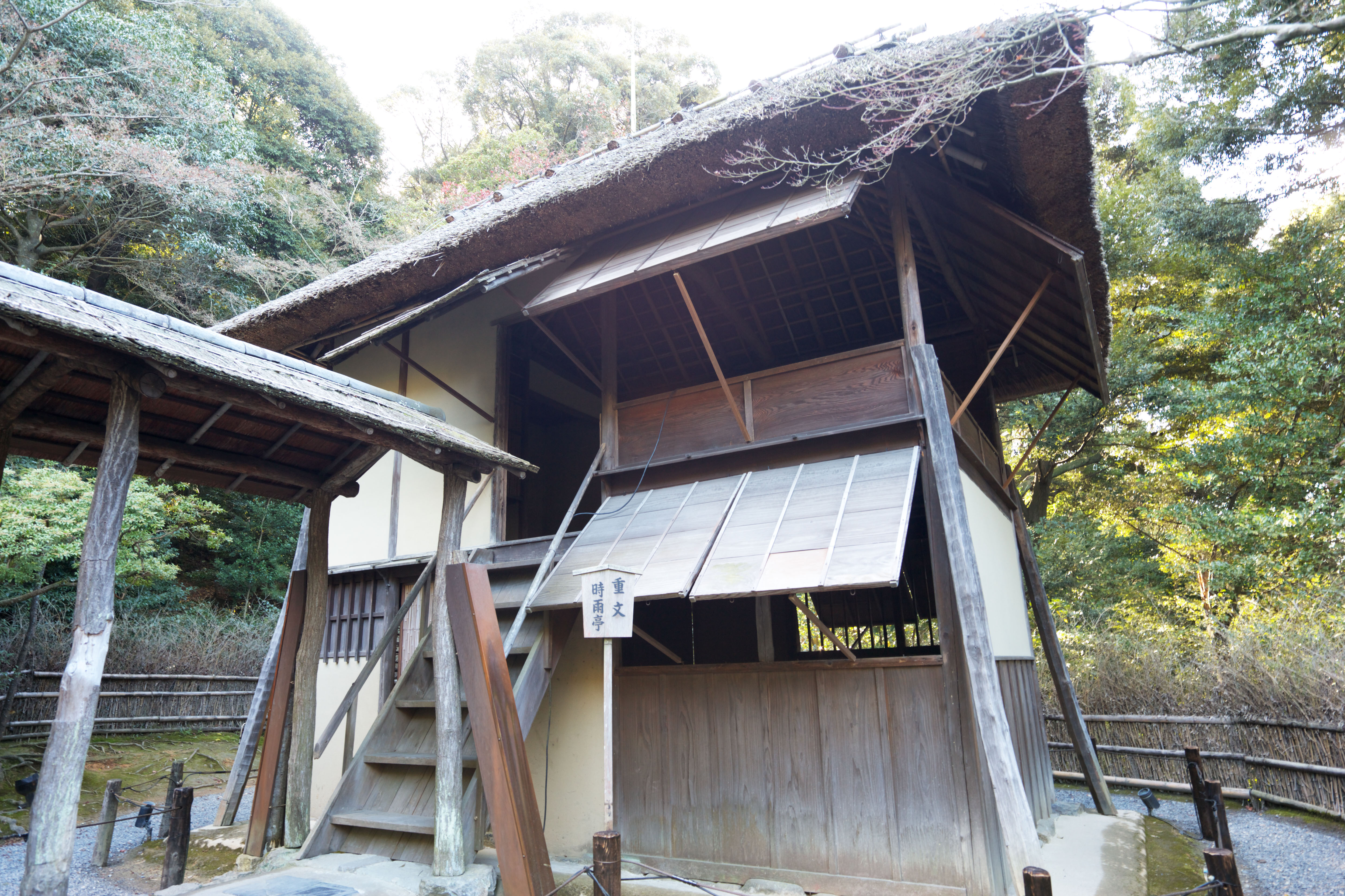 fotografia, materiale, libero il panorama, dipinga, fotografia di scorta,Tempio Kodaiji padiglione drizzling, , Cerimonia di t, Cultura giapponese, 