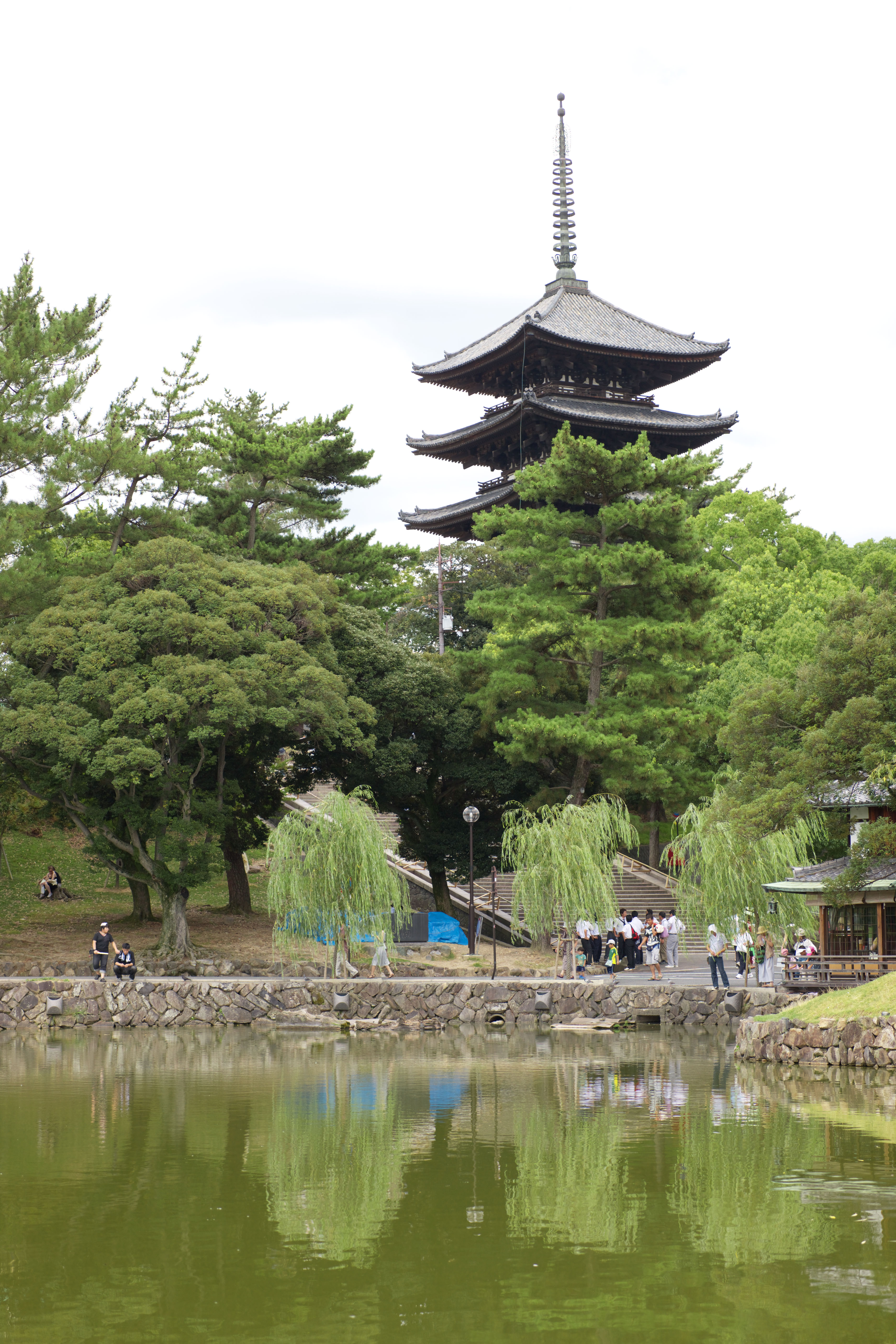 fotografia, material, livra, ajardine, imagine, proveja fotografia,Uma lagoa de Sarusawa, salgueiro, lagoa, Nara-koen estacionam, atrao turstica