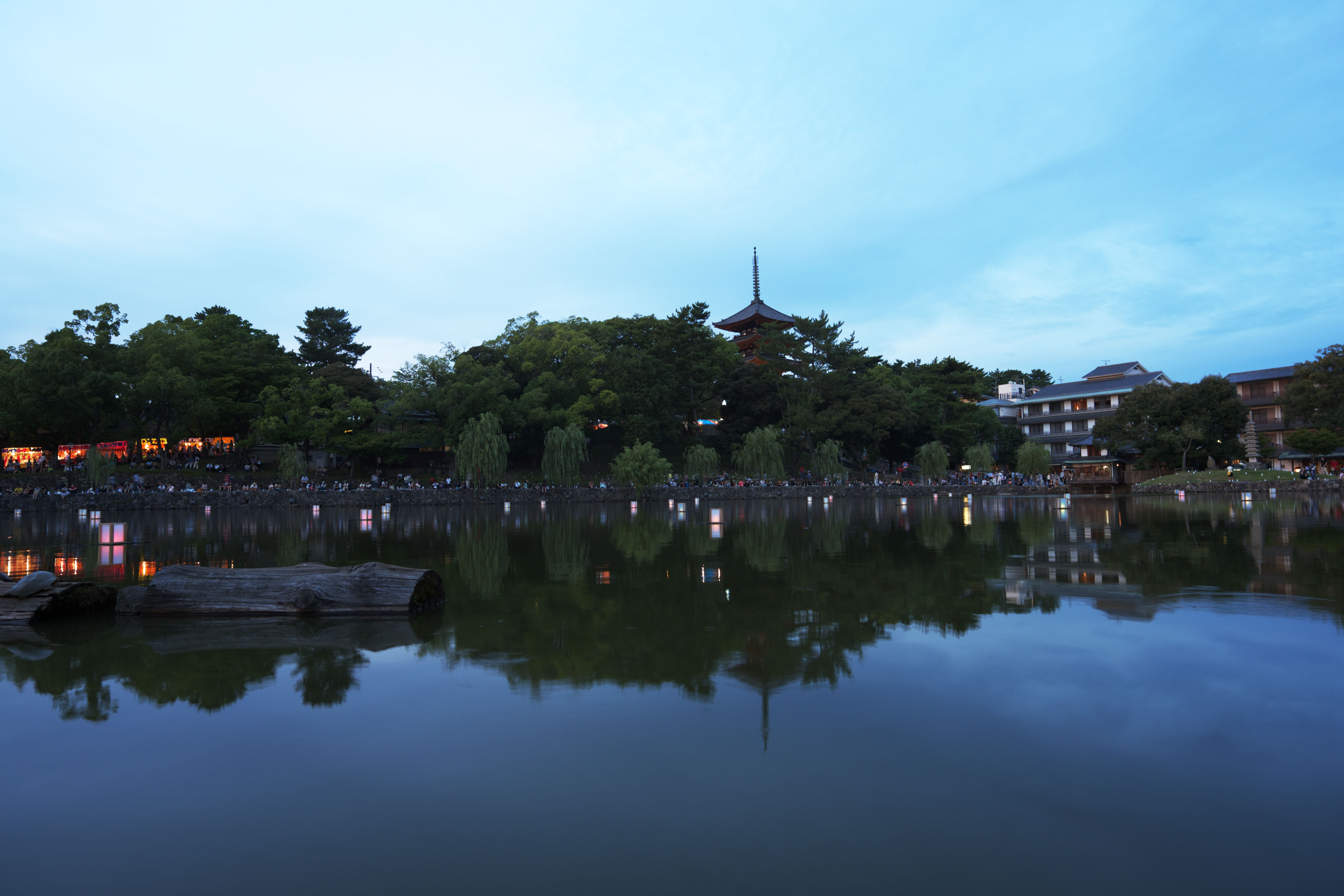 photo,material,free,landscape,picture,stock photo,Creative Commons,A pond of Sarusawa, willow, pond, Nara-koen Park, tourist attraction