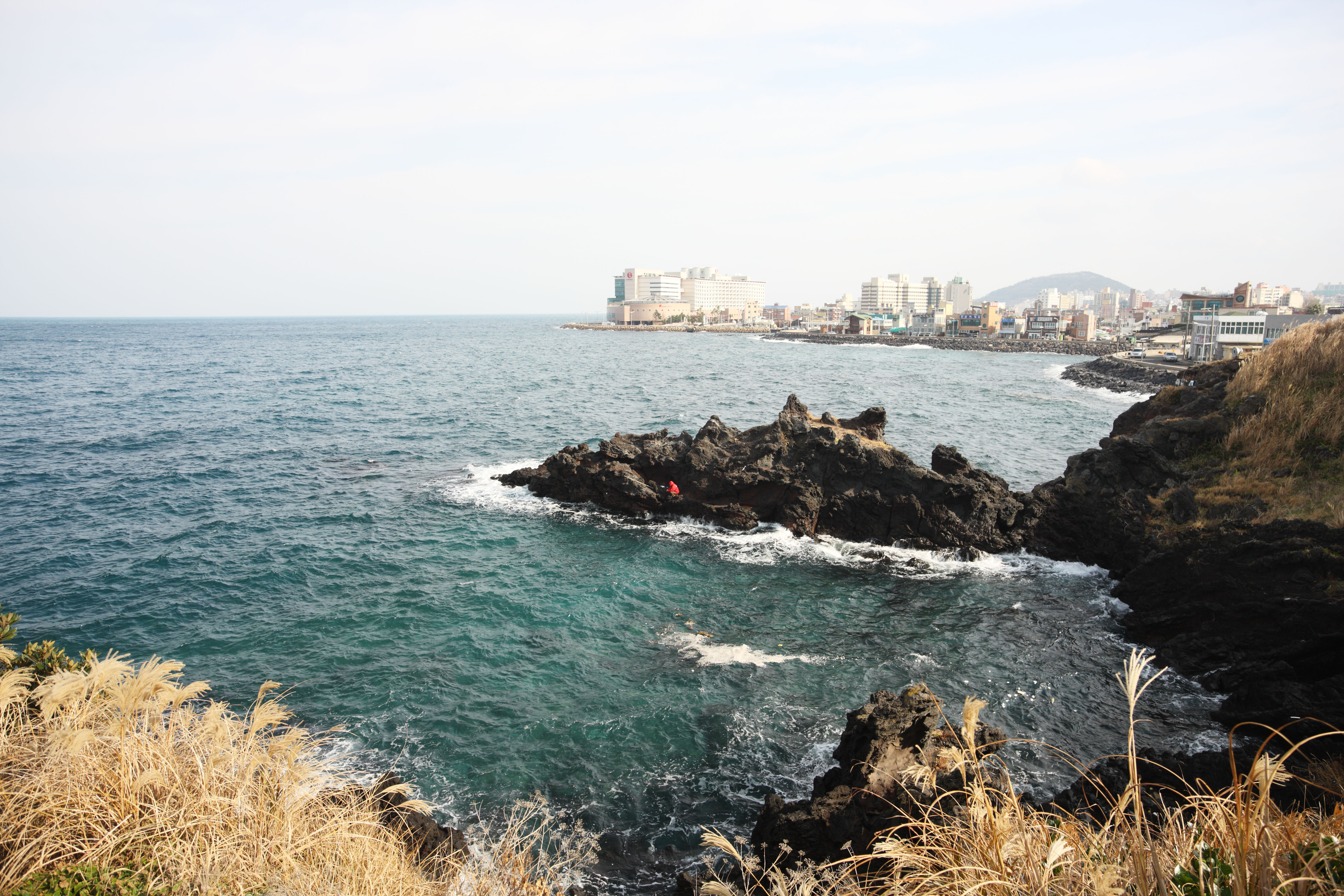 Foto, materieel, vrij, landschap, schilderstuk, bevoorraden foto,De kustlijn van Cheju Island, Draak Head Rock schudden, Yongduam, Kustlijn, Visser