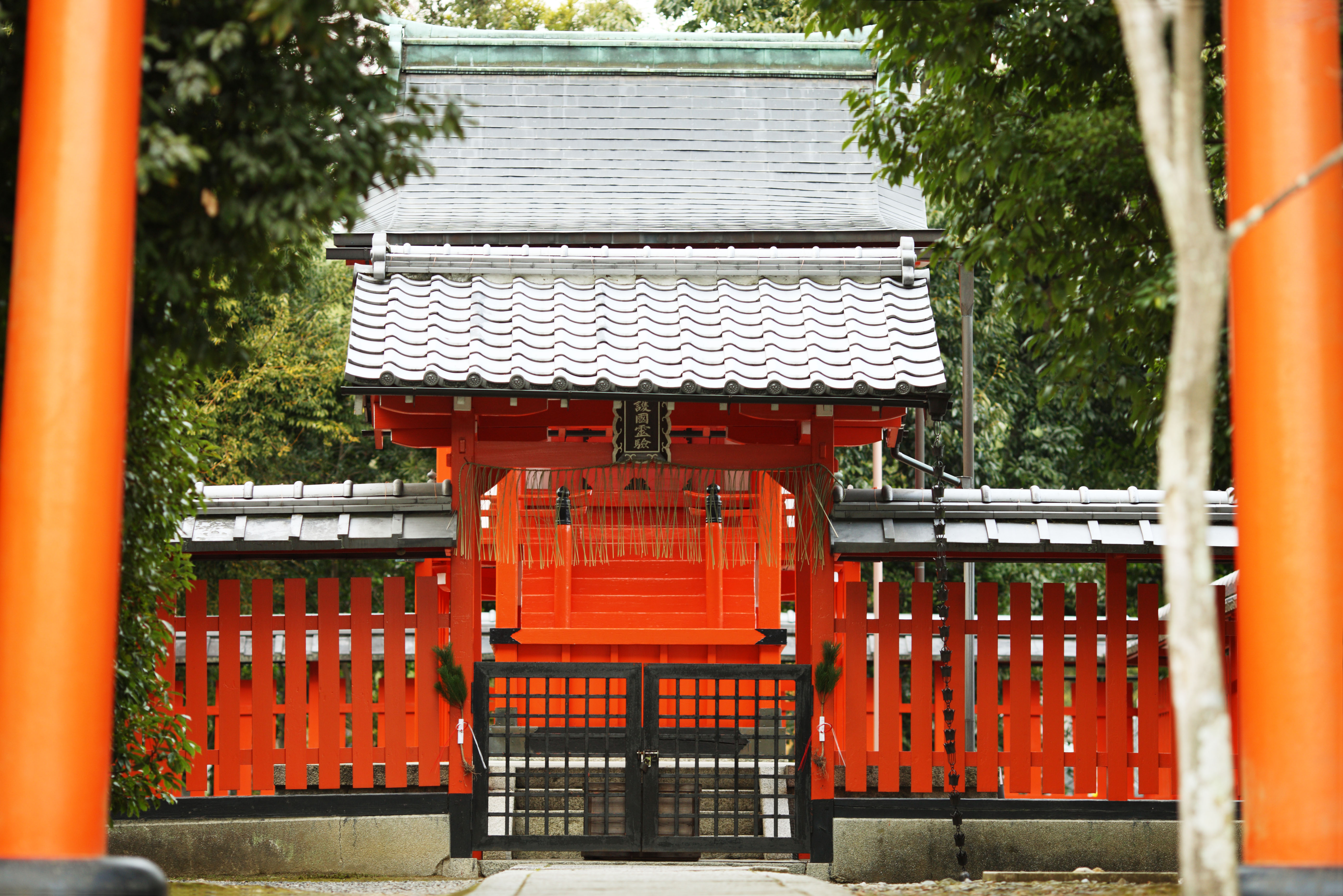photo, la matire, libre, amnage, dcrivez, photo de la rserve,Temple Tenryu-ji, Temple shintoste, Je suis peint en rouge, patrimoine de l'humanit, Sagano