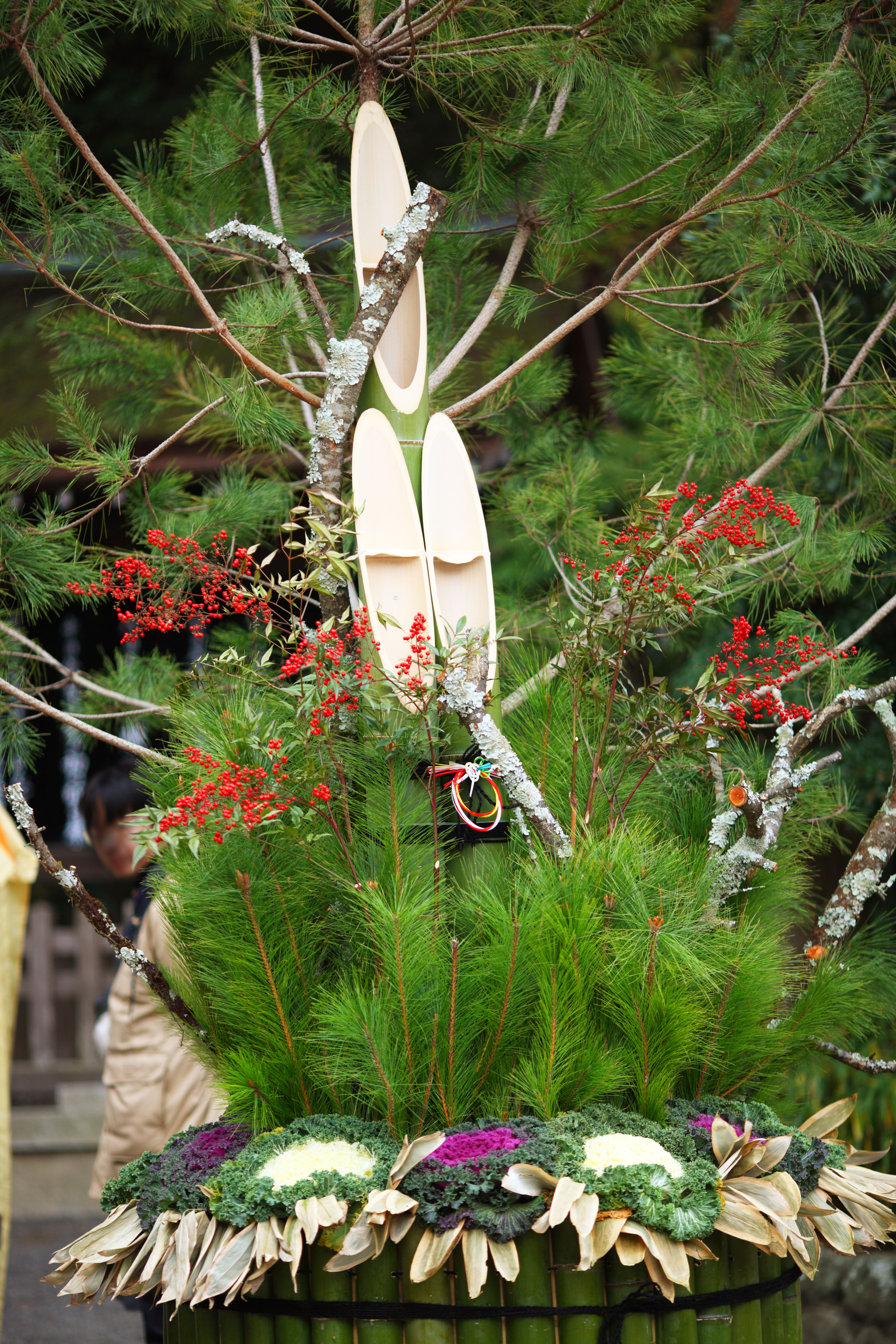 photo,material,free,landscape,picture,stock photo,Creative Commons,Three-wheeled Shinto shrine New Year's pine and bamboo decorations, New Year pine decorations, god controlling a zodiacal year, spirit-dwelling object, Ornamental cabbage