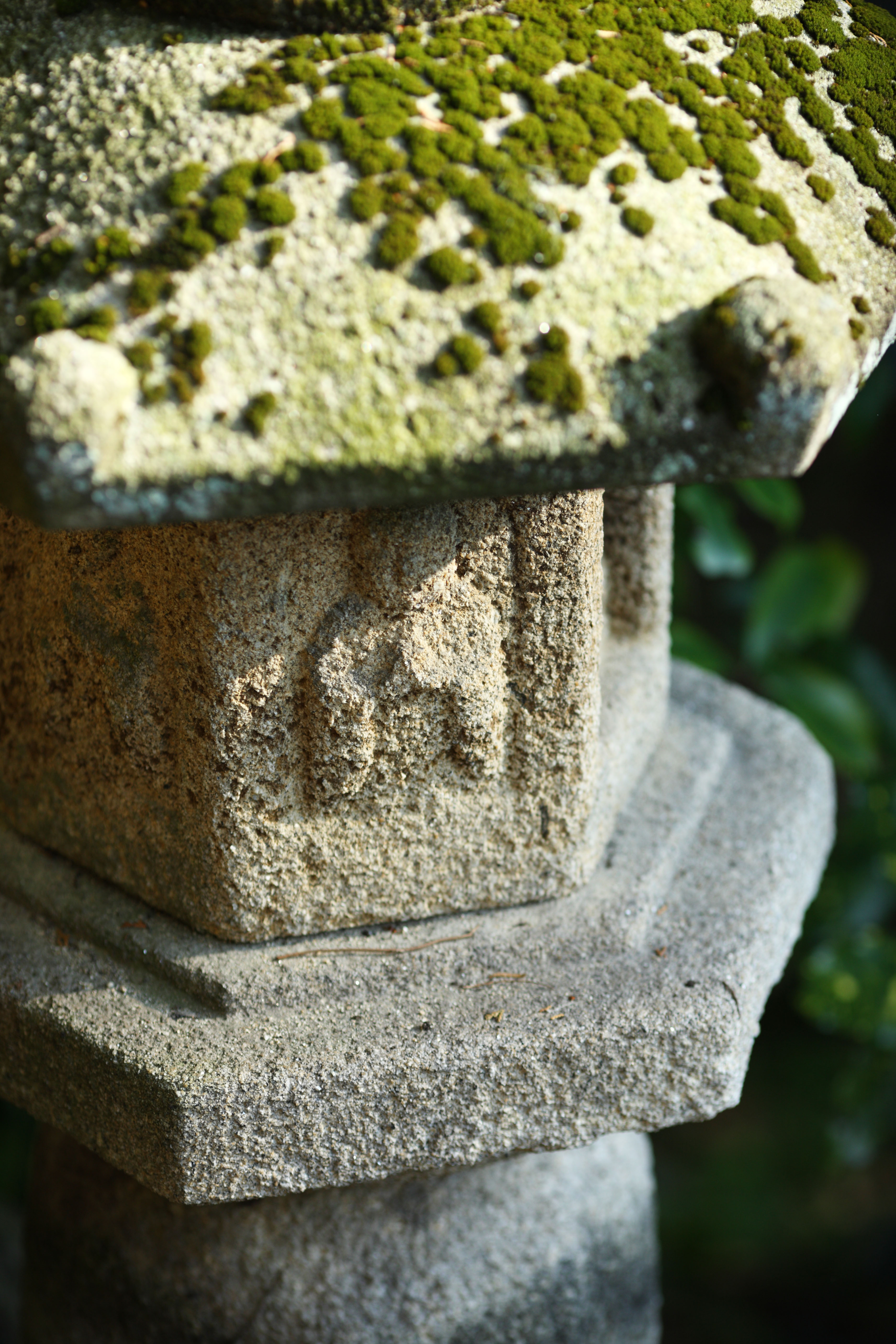 photo,material,free,landscape,picture,stock photo,Creative Commons,Zeniarai-benten Shrine stone lantern, stone lantern, Buddha, Wife of chief zen-priest, Money-making