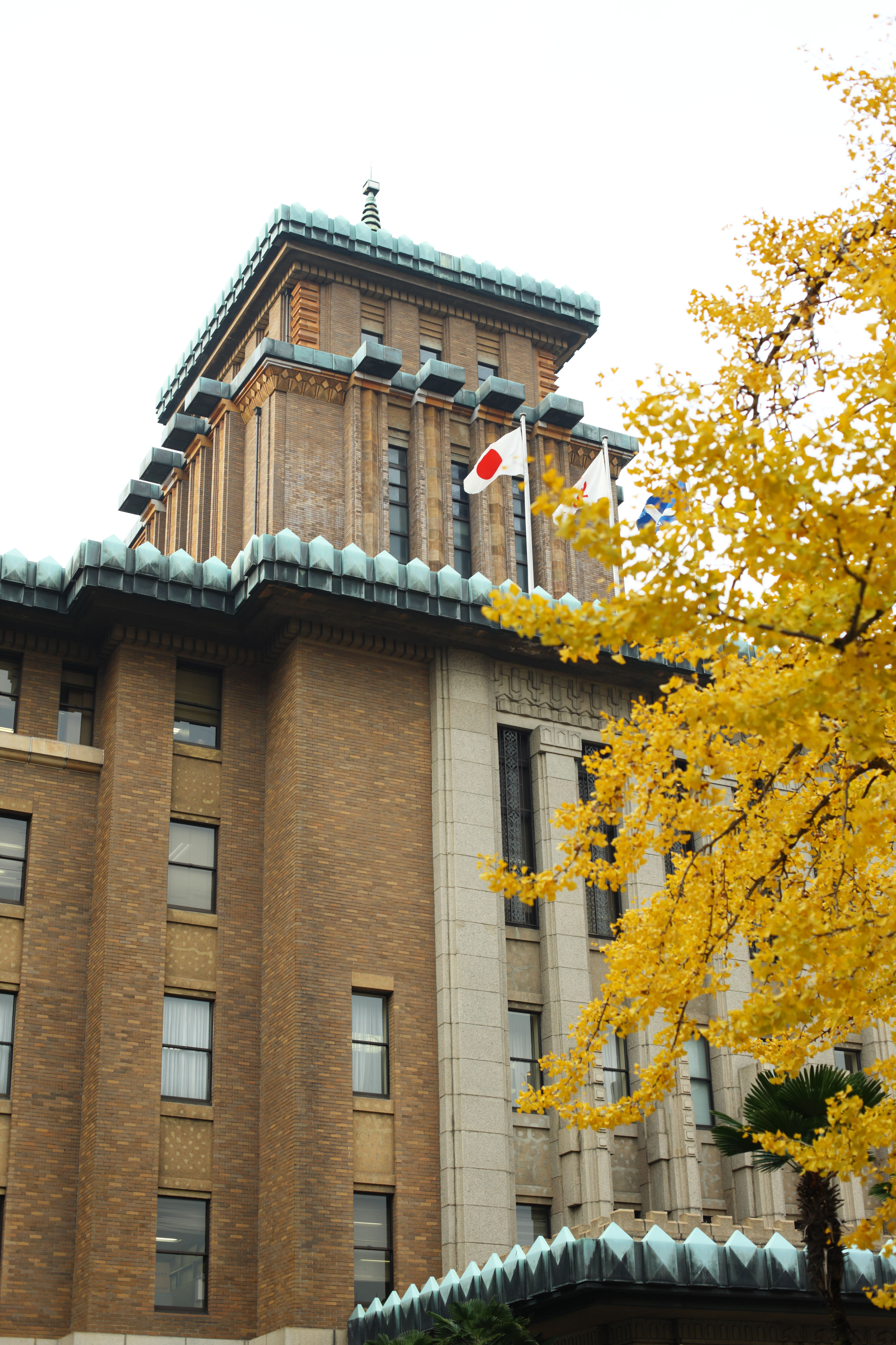 photo,material,free,landscape,picture,stock photo,Creative Commons,The Kanagawa prefectural office, ginkgo, Colored leaves, national flag, brick