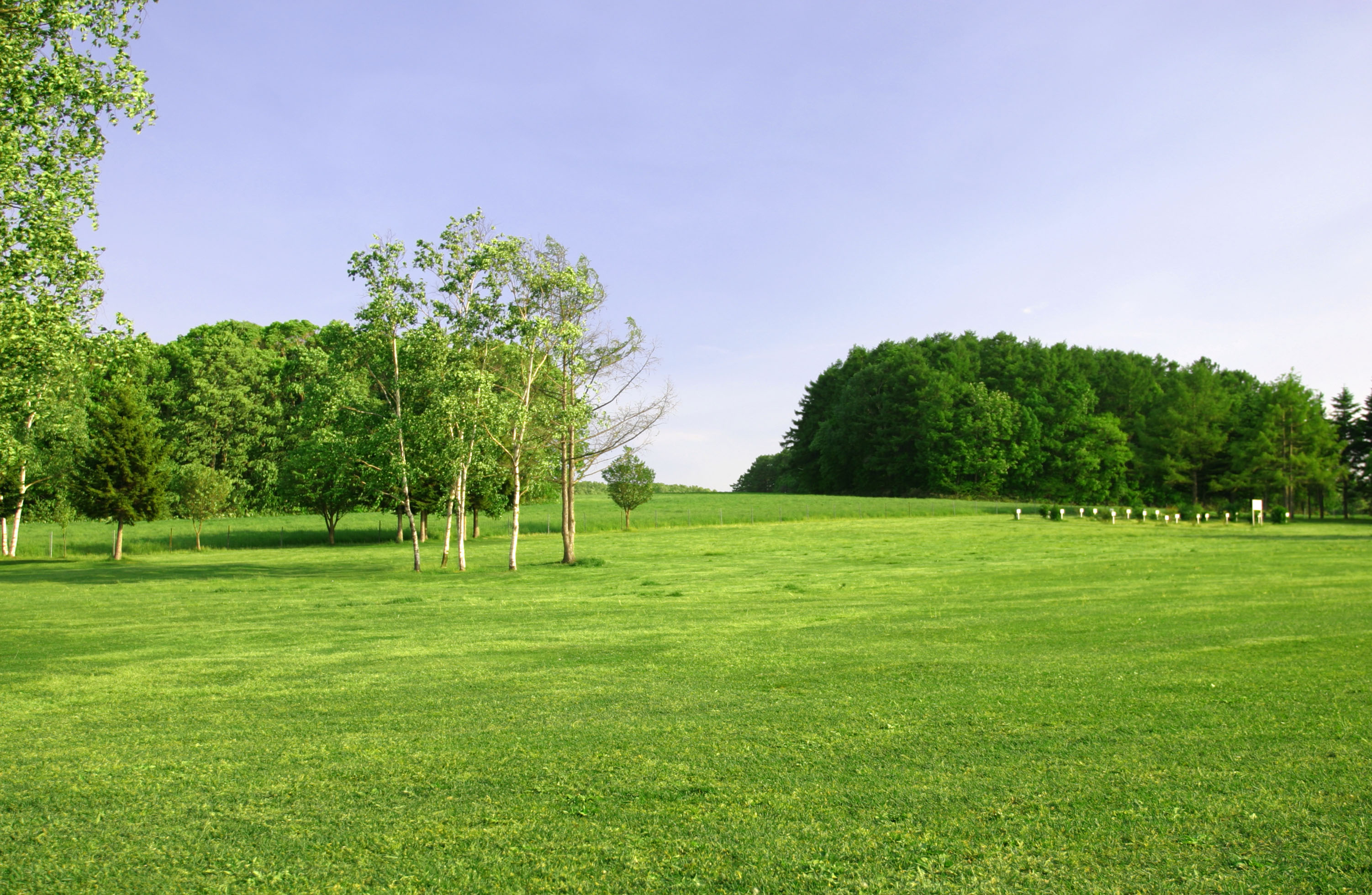 fotografia, materiale, libero il panorama, dipinga, fotografia di scorta,Erboso ad angolo retto, Hitsujigaoka, albero, frusta, cielo blu