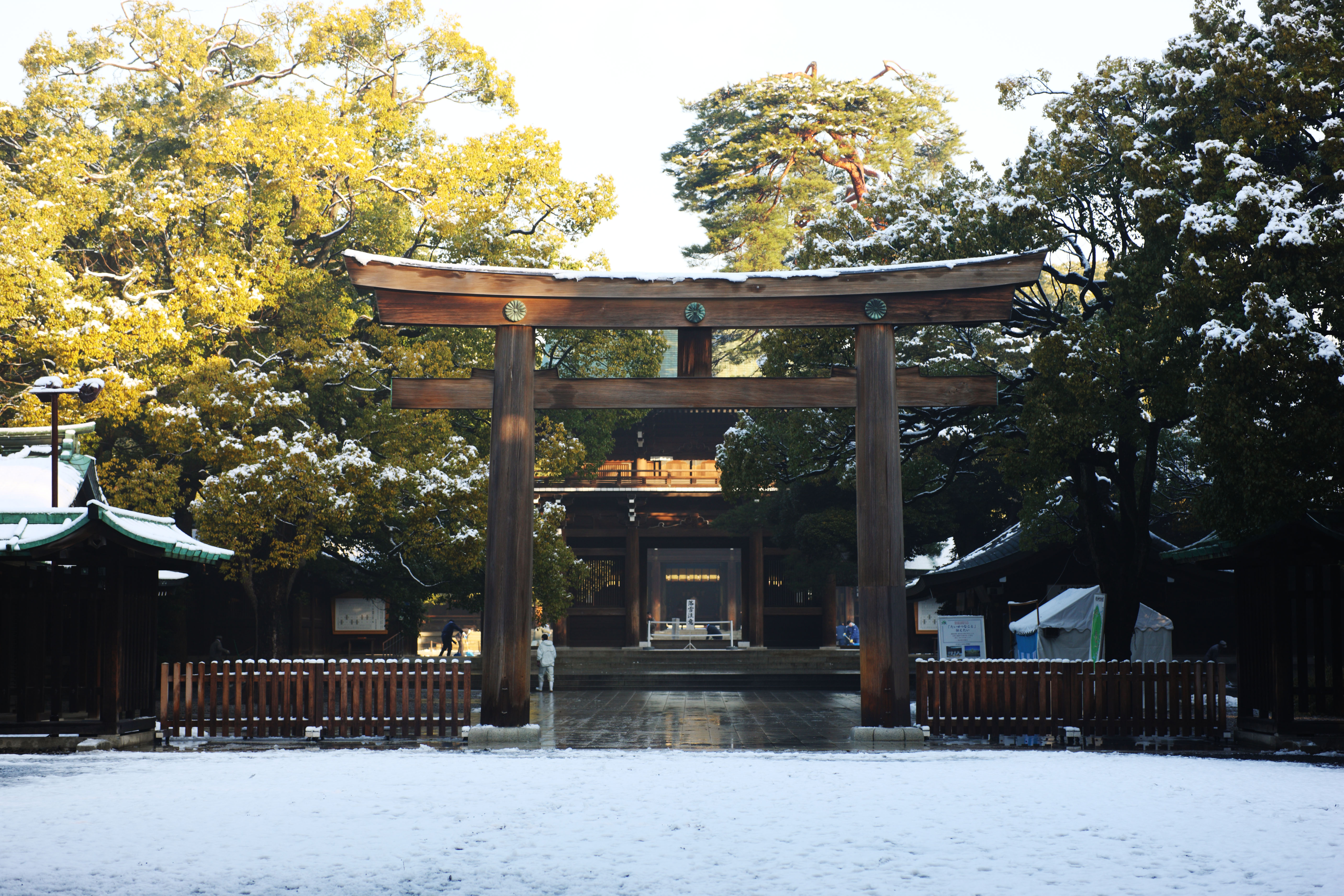 Foto, materiell, befreit, Landschaft, Bild, hat Foto auf Lager,Meiji Shrine torii, Der Kaiser, Schintoistischer Schrein, torii, Schnee