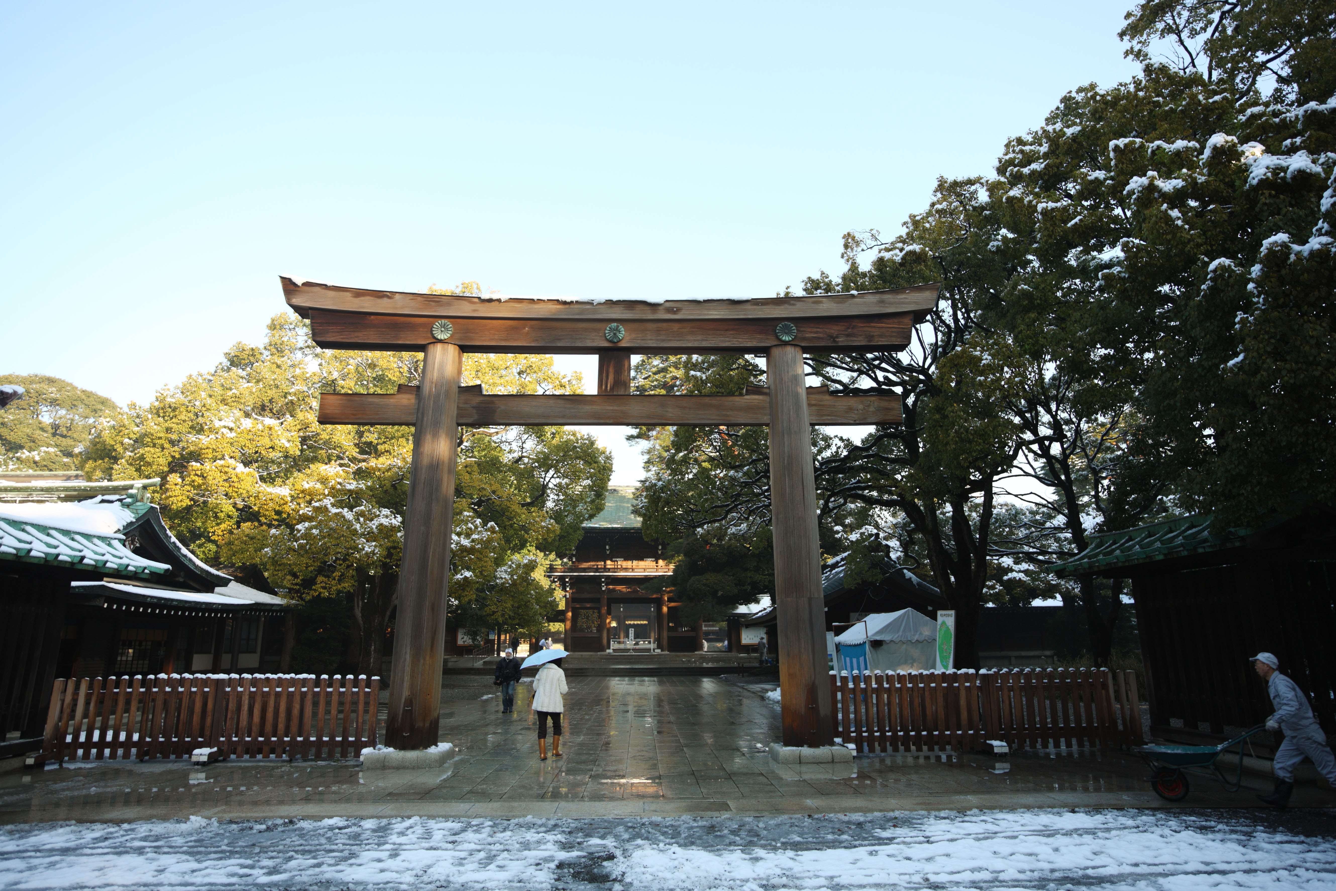 , , , , ,  .,Meiji Shrine torii, , Shinto shrine, torii, 
