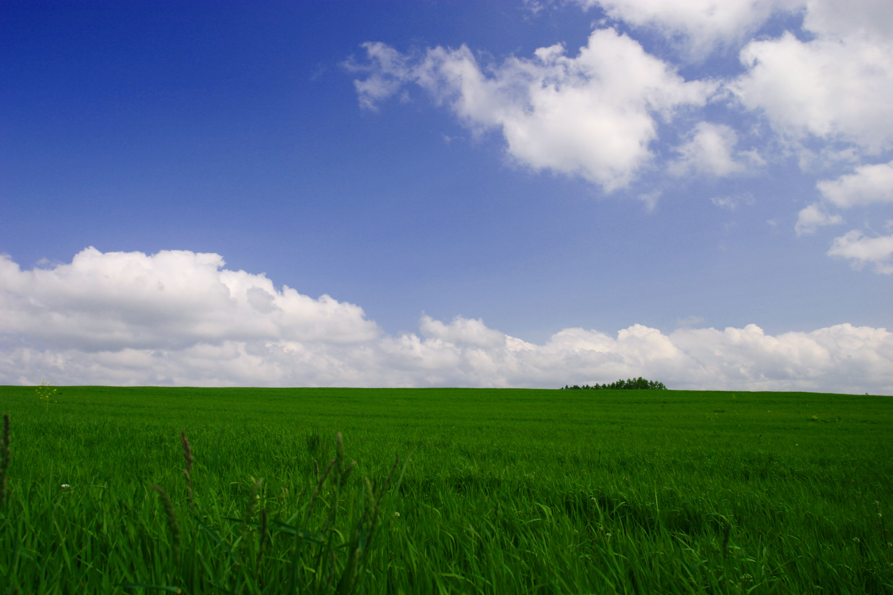 fotografia, materiale, libero il panorama, dipinga, fotografia di scorta,Pascolo ed un cielo blu, pascolo, nube, cielo blu, 