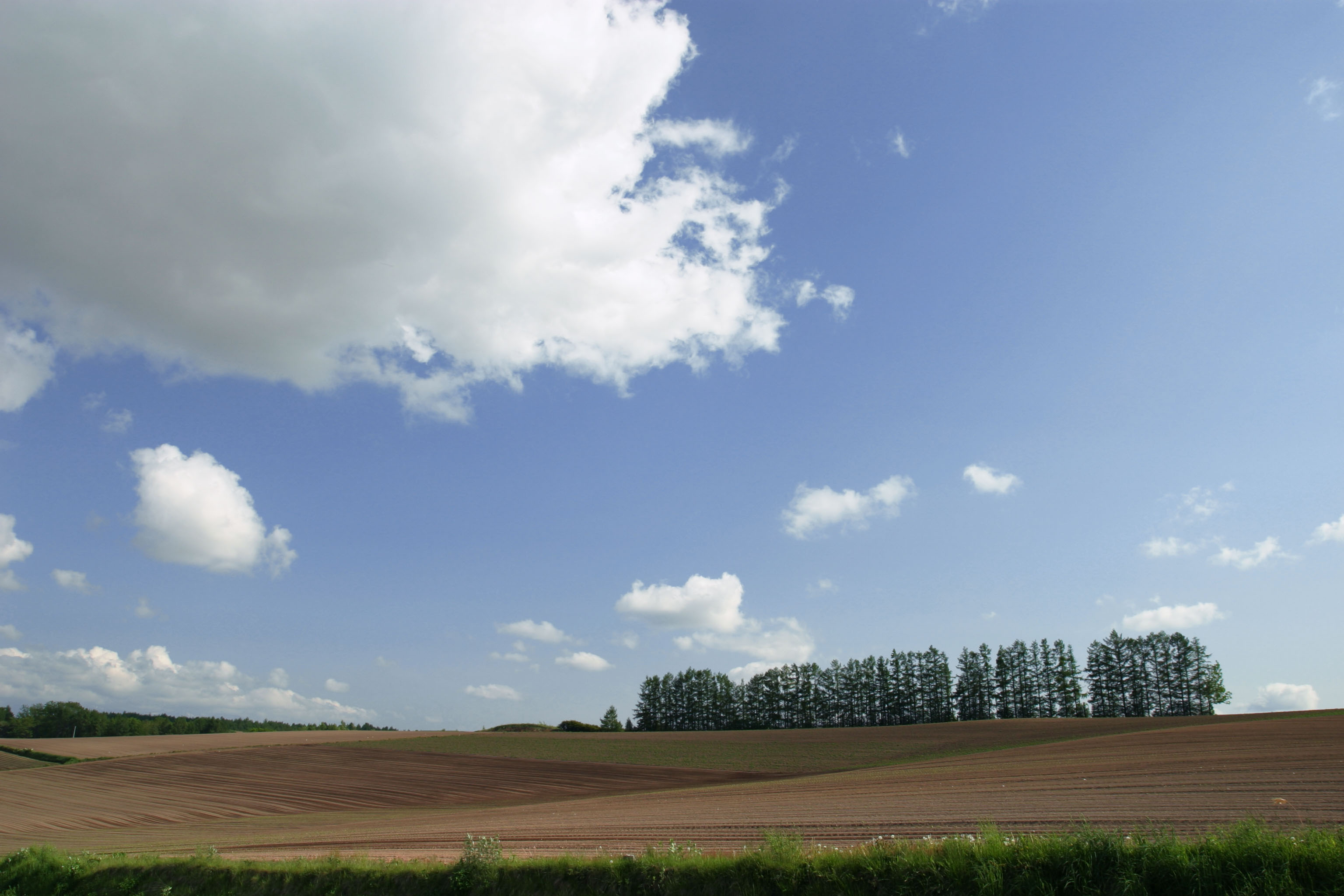 photo,material,free,landscape,picture,stock photo,Creative Commons,Tree line, farmland, and cloud, grove, cloud, blue sky, field