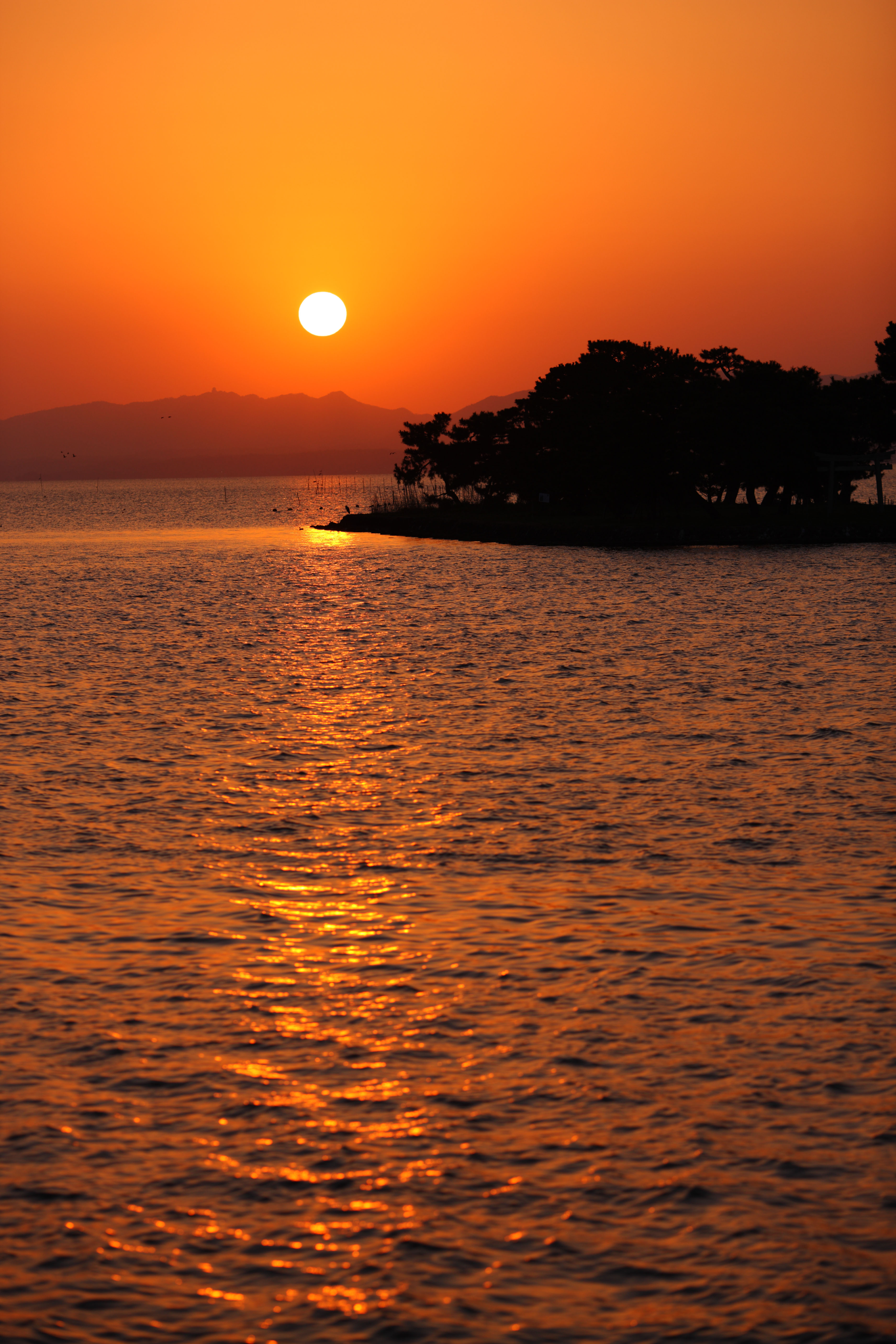 fotografia, materiale, libero il panorama, dipinga, fotografia di scorta,Il sole di setting di Lago Shinji-ko, Il sole, La superficie dell'acqua, Isola di sposa, 100 selezioni di sole di setting giapponese