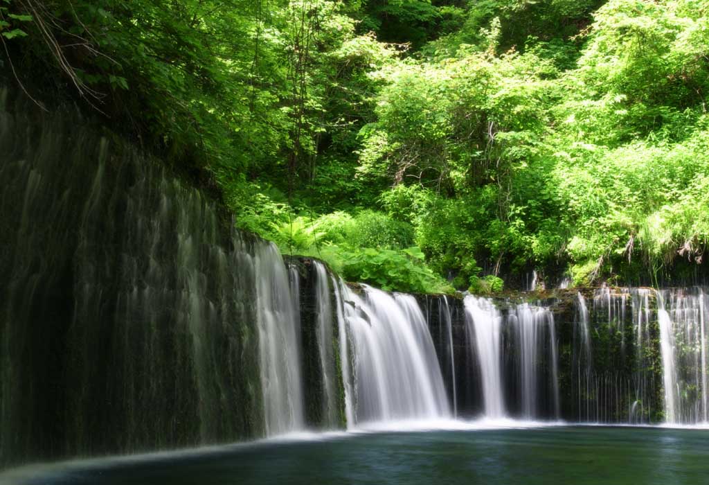 fotografia, materiale, libero il panorama, dipinga, fotografia di scorta,Shiraito-nessuno-taki, cascata, ruscello, verde tenero, fiume