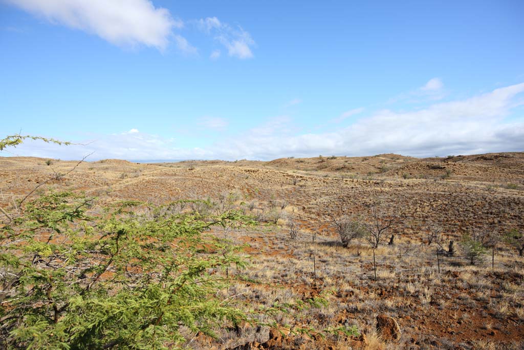 photo,material,free,landscape,picture,stock photo,Creative Commons,The earth of the lava, Green, Brown, Lava, blue sky