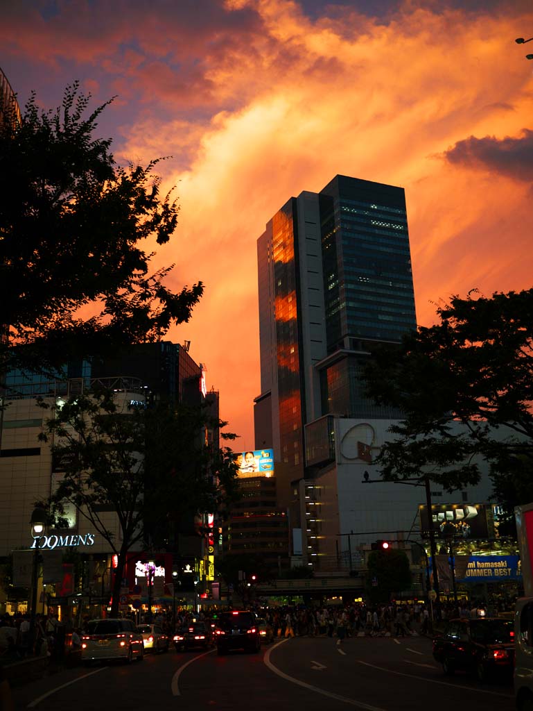 Foto, materiell, befreit, Landschaft, Bild, hat Foto auf Lager,Sonnenuntergang eine glhende Shibuya, , , , 