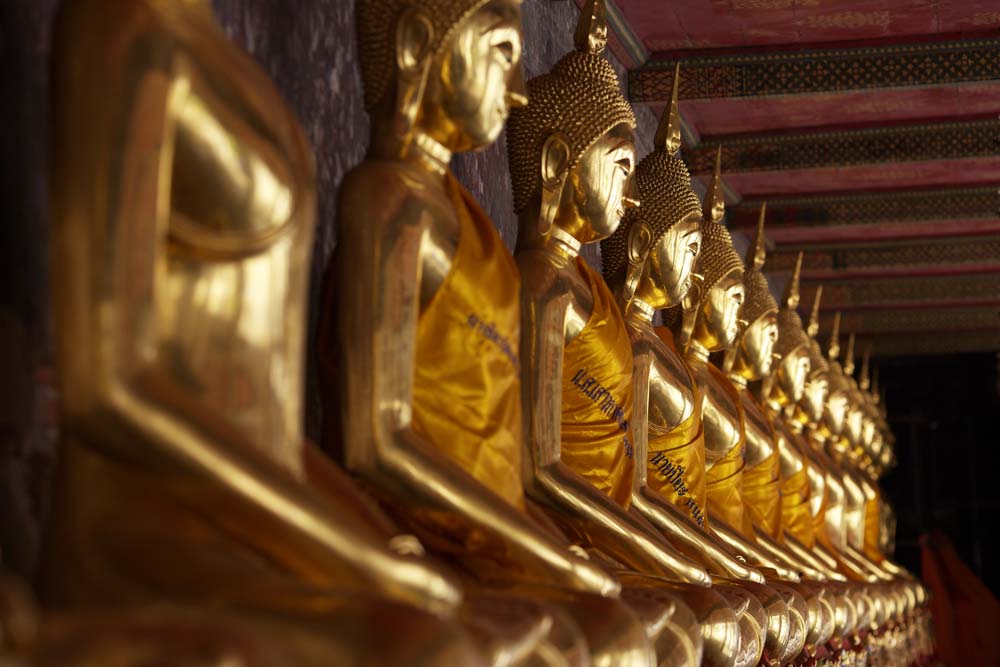 fotografia, material, livra, ajardine, imagine, proveja fotografia,Uma linha de imagem budista dourada de Wat Suthat, templo, Imagem budista, corredor, Ouro