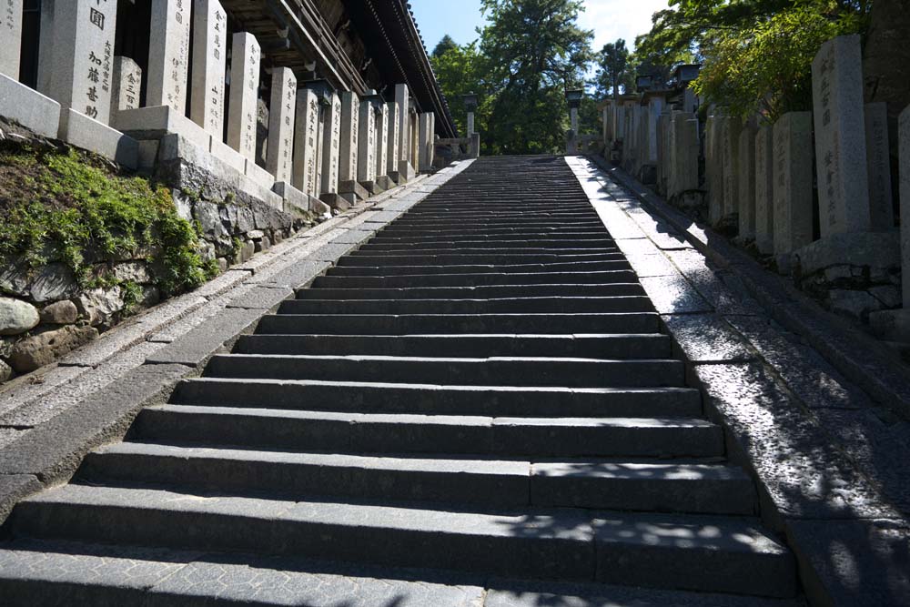fotografia, materiale, libero il panorama, dipinga, fotografia di scorta,La scalinata di pietra di Nigatsu-faccia Hall, prenda a sassate scalinata, Il sole, , Gradini