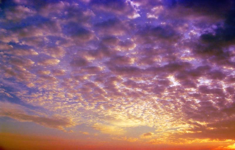 photo,material,free,landscape,picture,stock photo,Creative Commons,Clouds at sundown 2, cloud, setting sun, blue sky, 