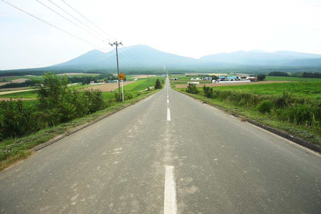 fotografia, materiale, libero il panorama, dipinga, fotografia di scorta,Una strada di linea diritta di Furano, campo, Mt. Tokachi-dake, Il paese, scenario rurale