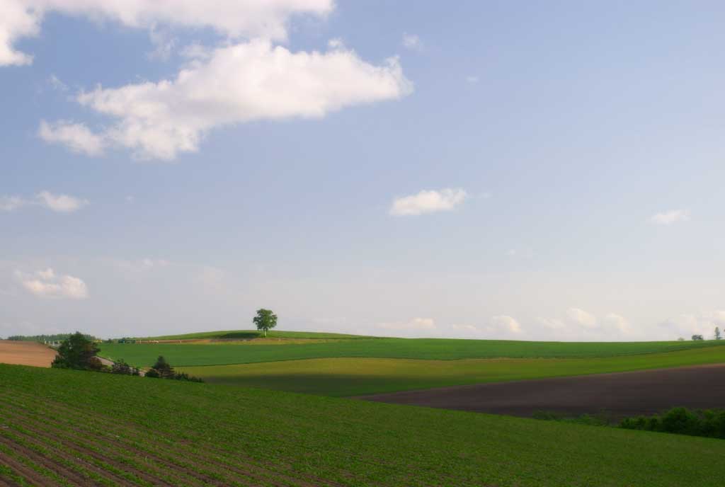 photo, la matire, libre, amnage, dcrivez, photo de la rserve,Terrain agricole vaste, champ, nuage, ciel bleu, 