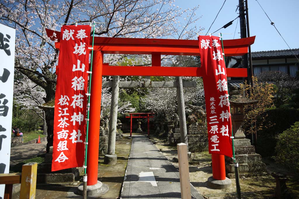 fotografia, material, livra, ajardine, imagine, proveja fotografia,Shiroyama Inari santurio, torii, Santurio de Xintosmo, apedreje lanterna, Xintosmo