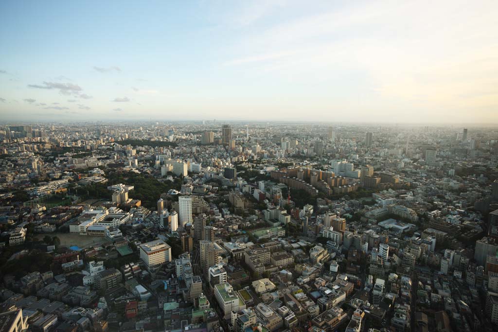 photo, la matire, libre, amnage, dcrivez, photo de la rserve,Tokyo vue entire, L'horizon, btiment de tour, Plaines Kanto, La rgion de centre-ville