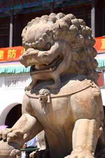 fotografia, material, livra, ajardine, imagine, proveja fotografia,Um par de PutuoZongchengTemple de pedra cachorros guardies, Tibete, Chaitya, dente de elefante, leo