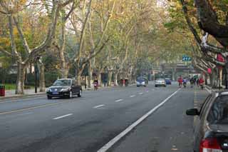 photo, la matire, libre, amnage, dcrivez, photo de la rserve,Ligne de maisons le long d'une rue de ville de Hangzhou, arbre plan, route, voiture, rue