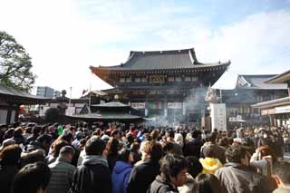 photo, la matire, libre, amnage, dcrivez, photo de la rserve,Kawasakidaishi Omoto temple, La visite de nouvelle anne  un temple shintoste, adorateur, Grand embouteillage, La crte du modle du chrysanthme