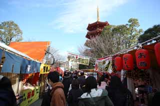 Foto, materiell, befreit, Landschaft, Bild, hat Foto auf Lager,Kawasakidaishi, Neujahr besucht zu einem schintoistischen Schrein, Verehrer, Zweig, Achteckige fnf Storeyed-Pagode